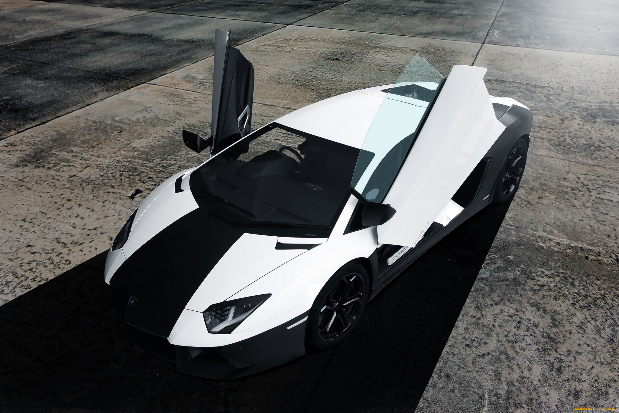 lamborghini, aventador, автомобили, lamborghini, black, aventador, front, перед, авентадор, ламборгини, white