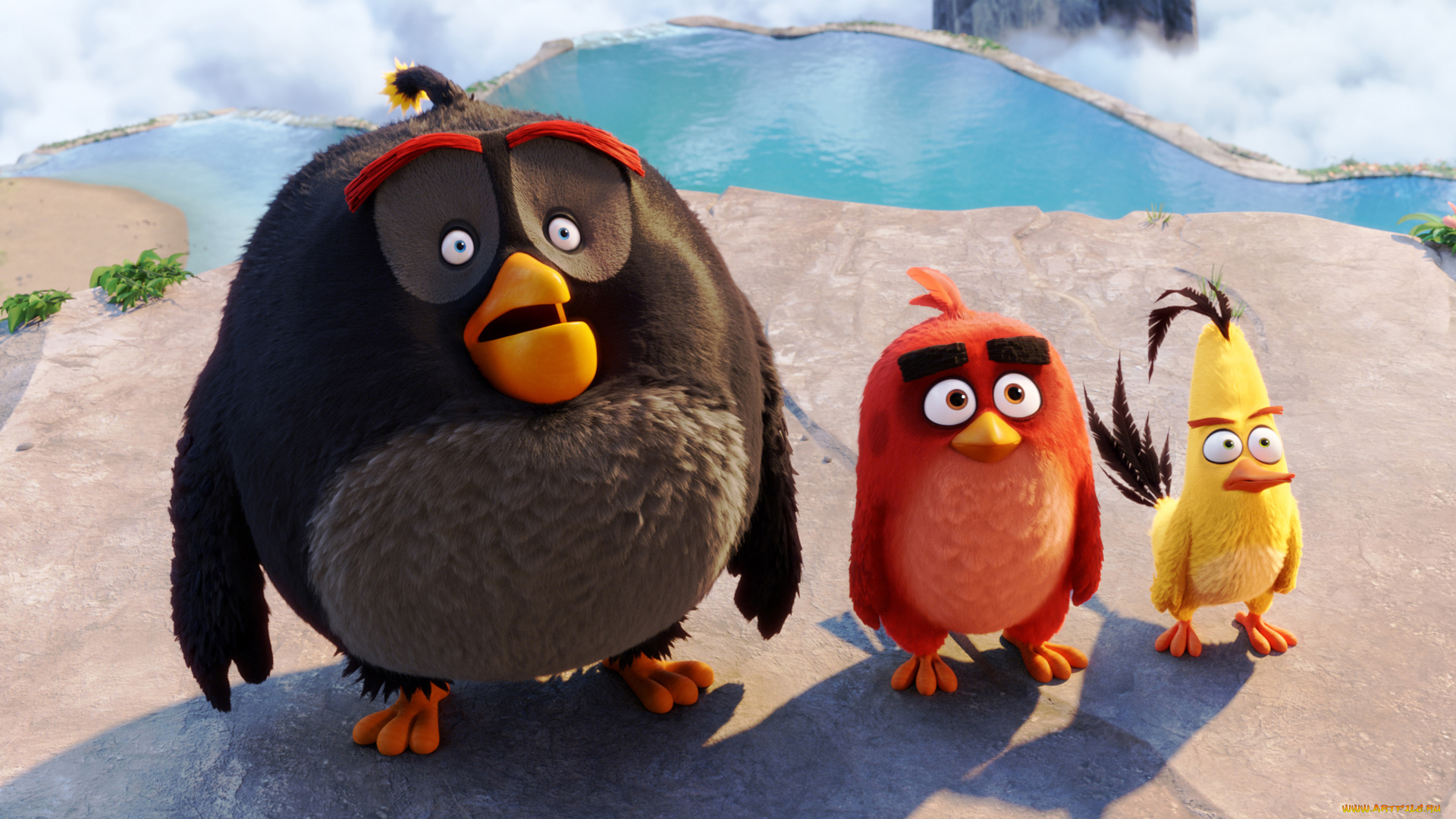 мультфильмы, the, angry, birds, movie, bomb, red, chuck