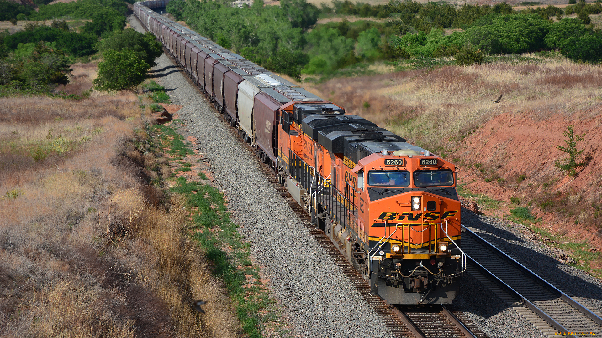 техника, поезда, рельсы, локомотив, состав