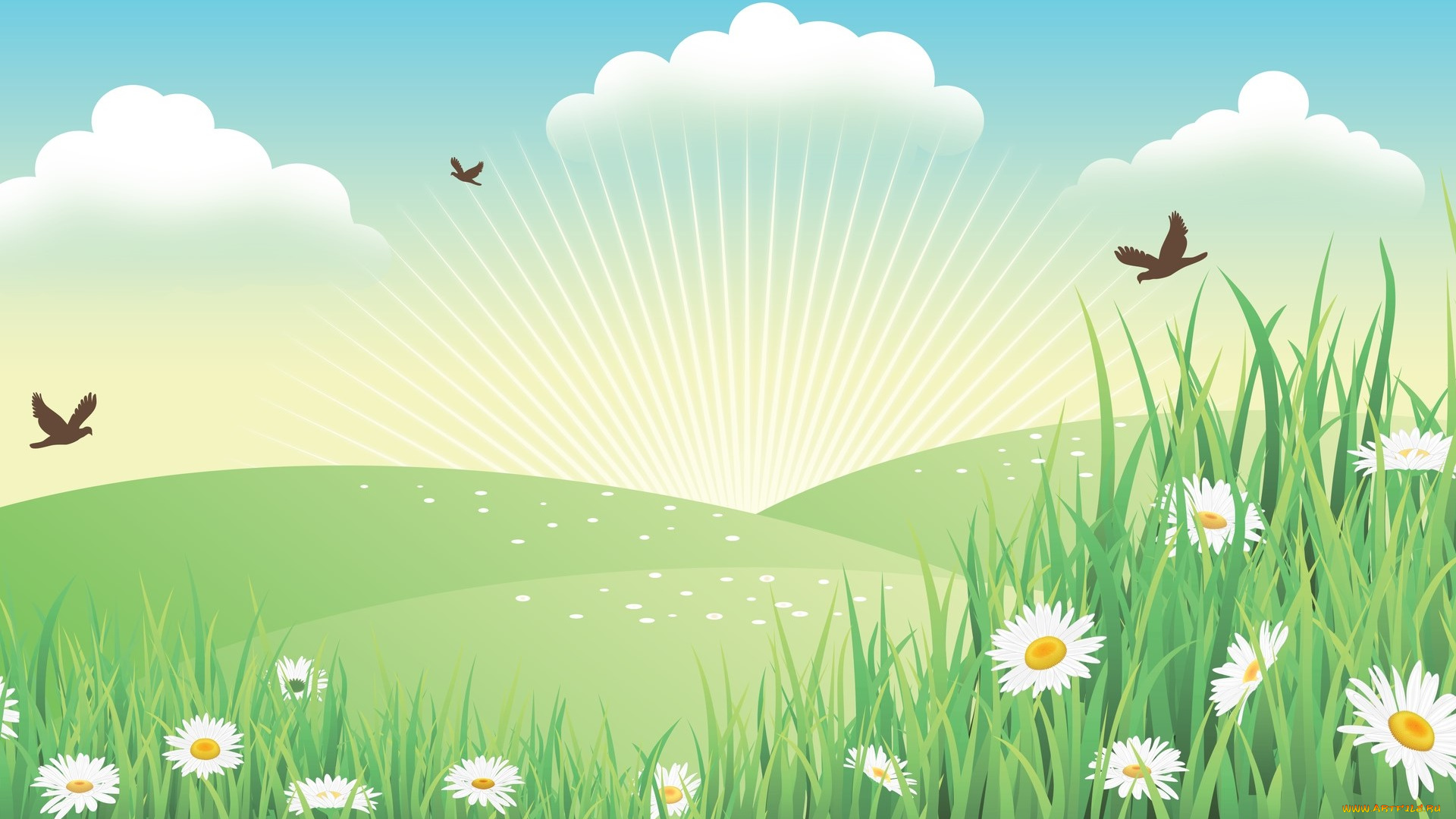 векторная, графика, цветы, , flowers, цветы, фон