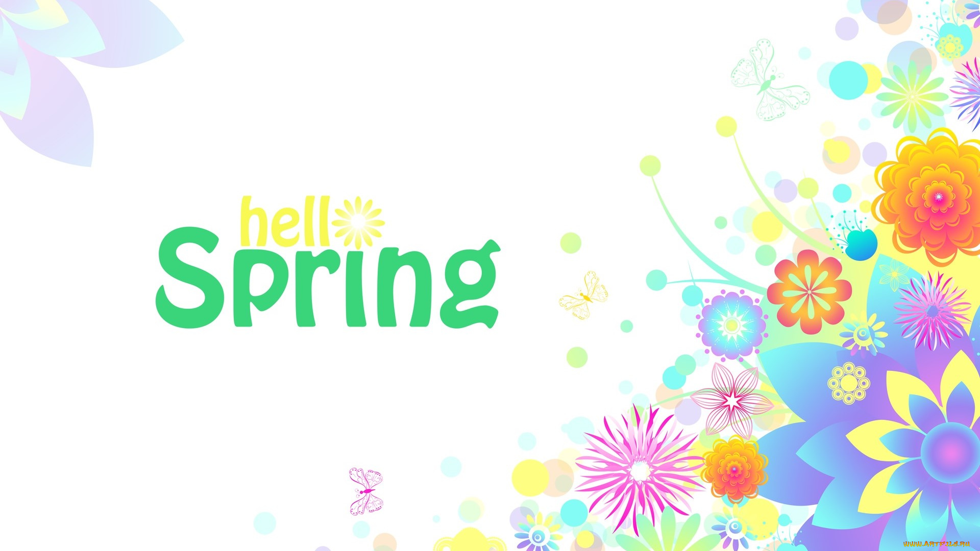 векторная, графика, цветы, , flowers, цветы, фон