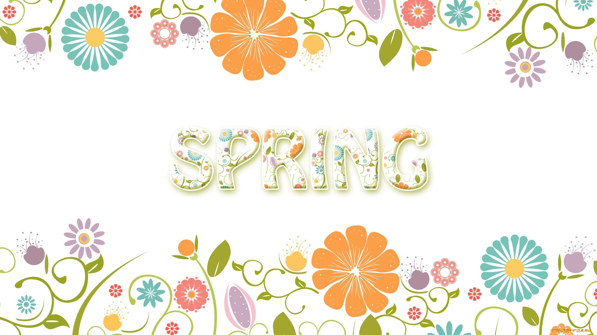 векторная, графика, цветы, , flowers, цветы, фон