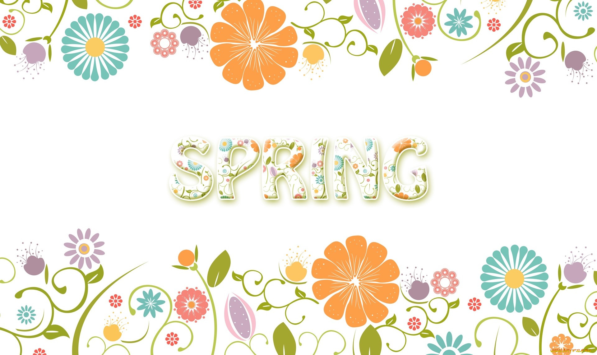 векторная, графика, цветы, , flowers, цветы, фон