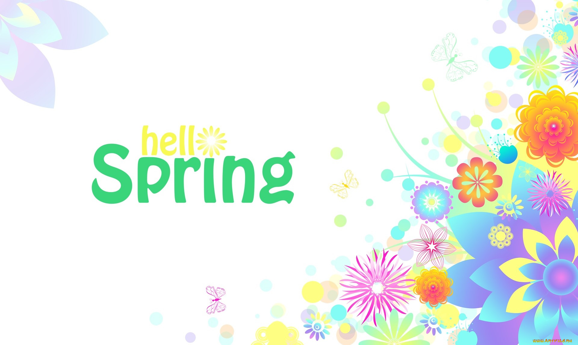 векторная, графика, цветы, , flowers, цветы, фон