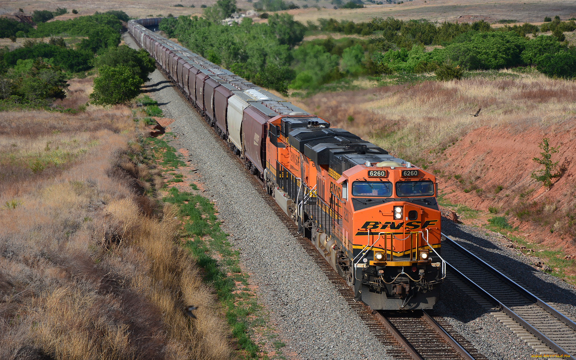 техника, поезда, рельсы, локомотив, состав