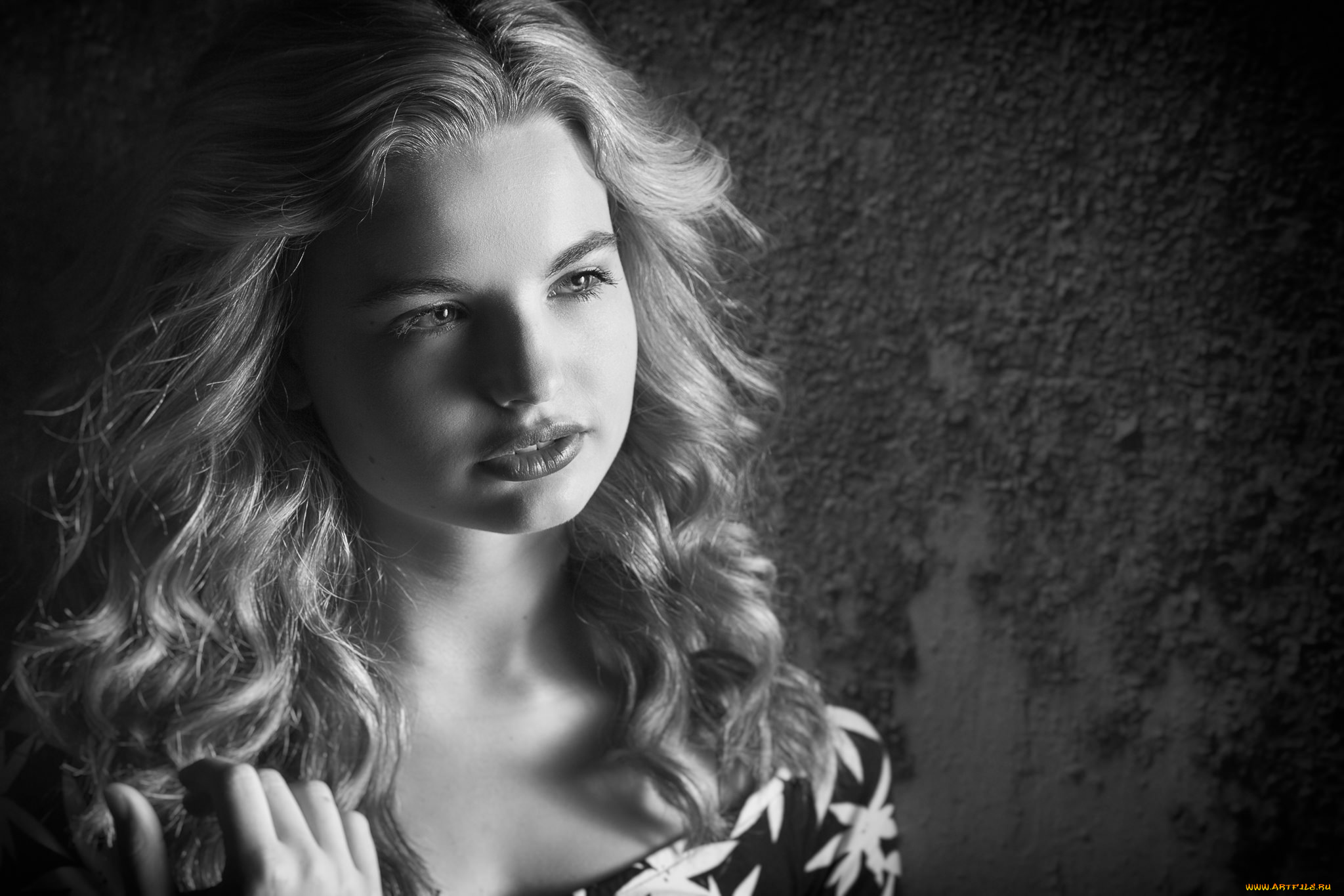 девушки, -unsort, , Черно-белые, обои, взгляд, лицо