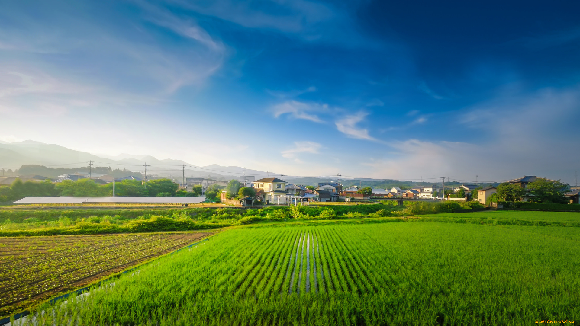 города, -, пейзажи, холмы, поля, дома