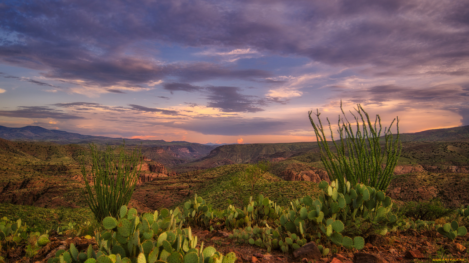 природа, пустыни, простор