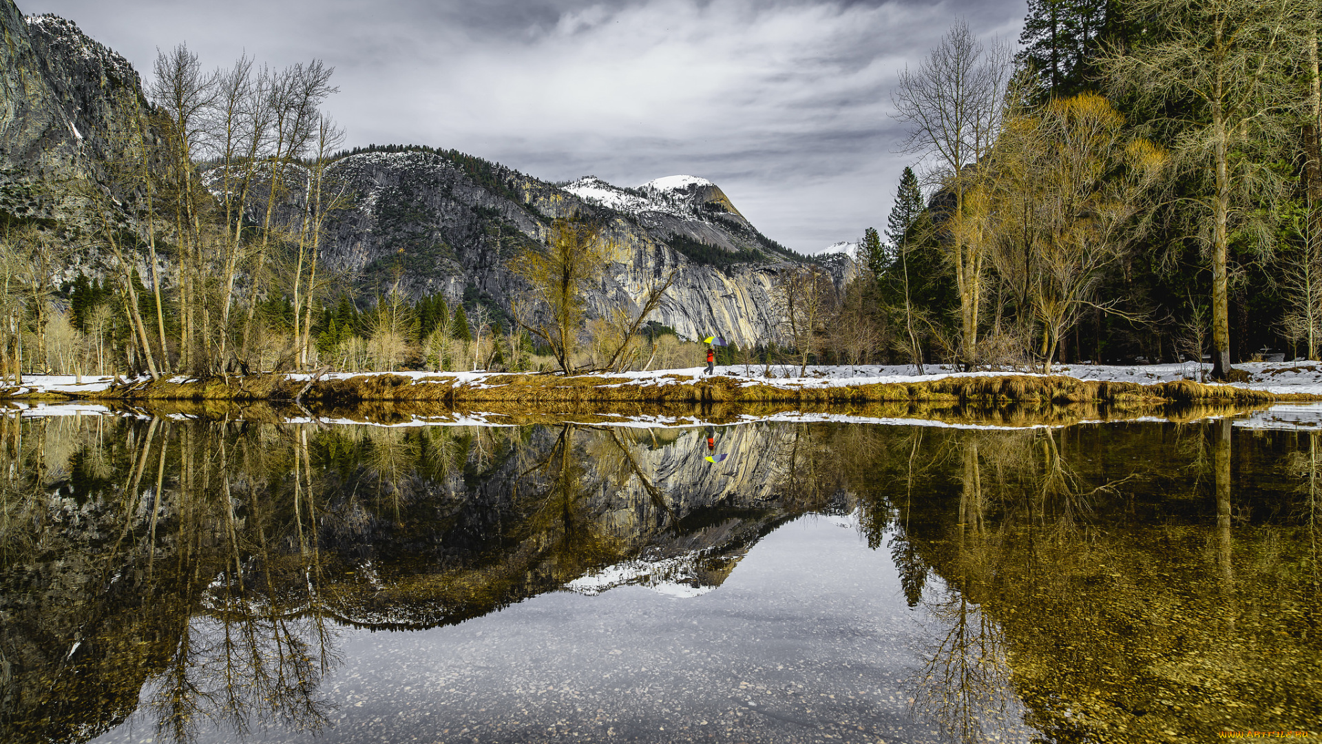 природа, реки, озера, горы, лес, река