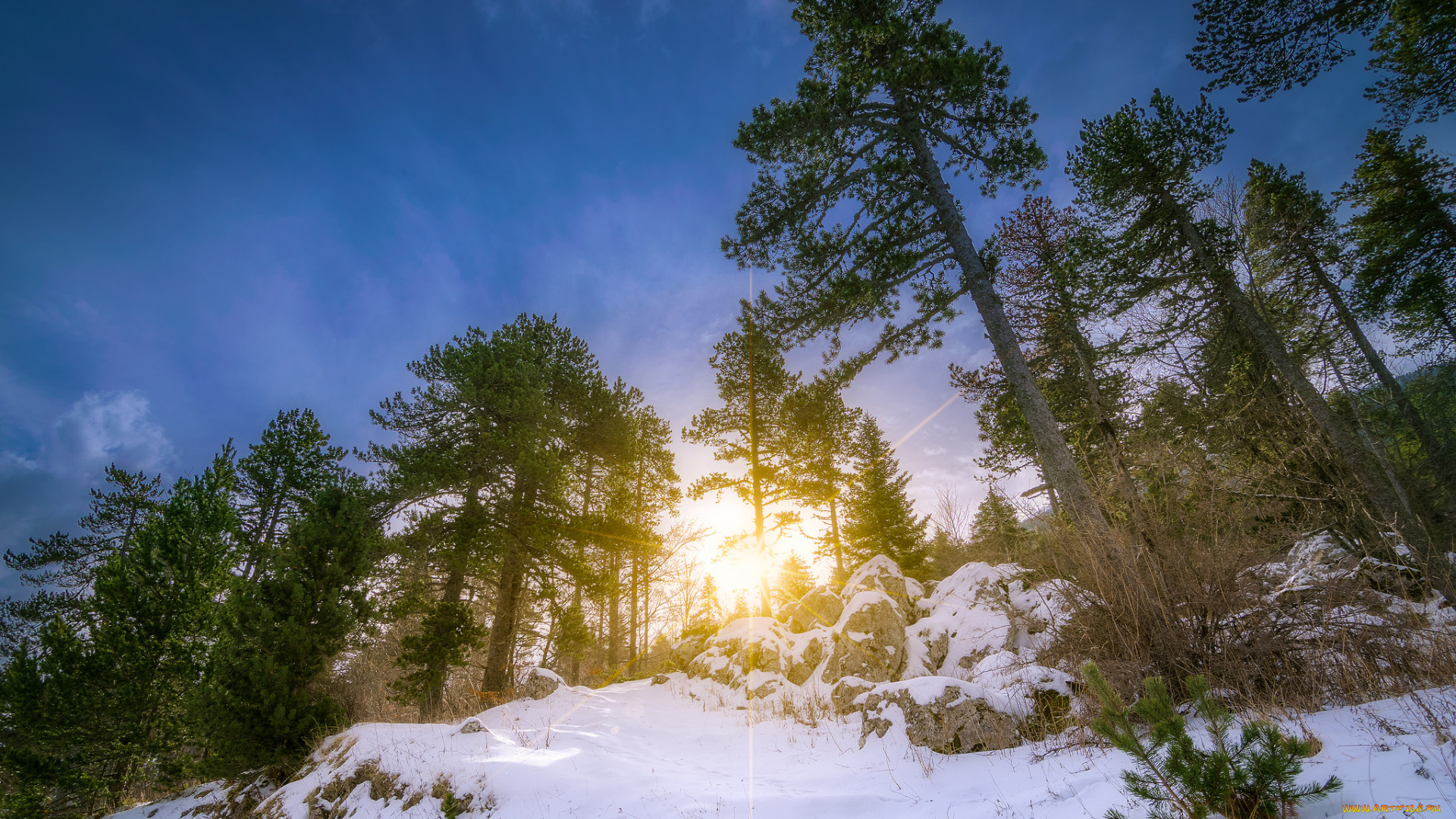 природа, зима, рассвет