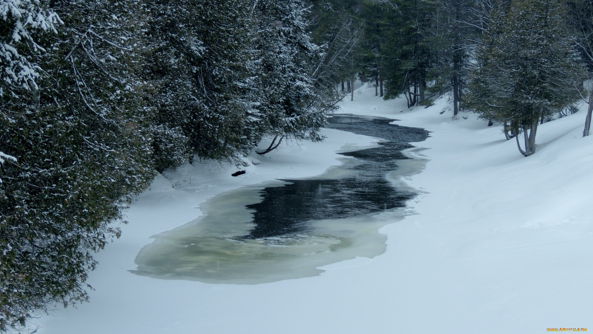 природа, зима, снег, ручей, деревья