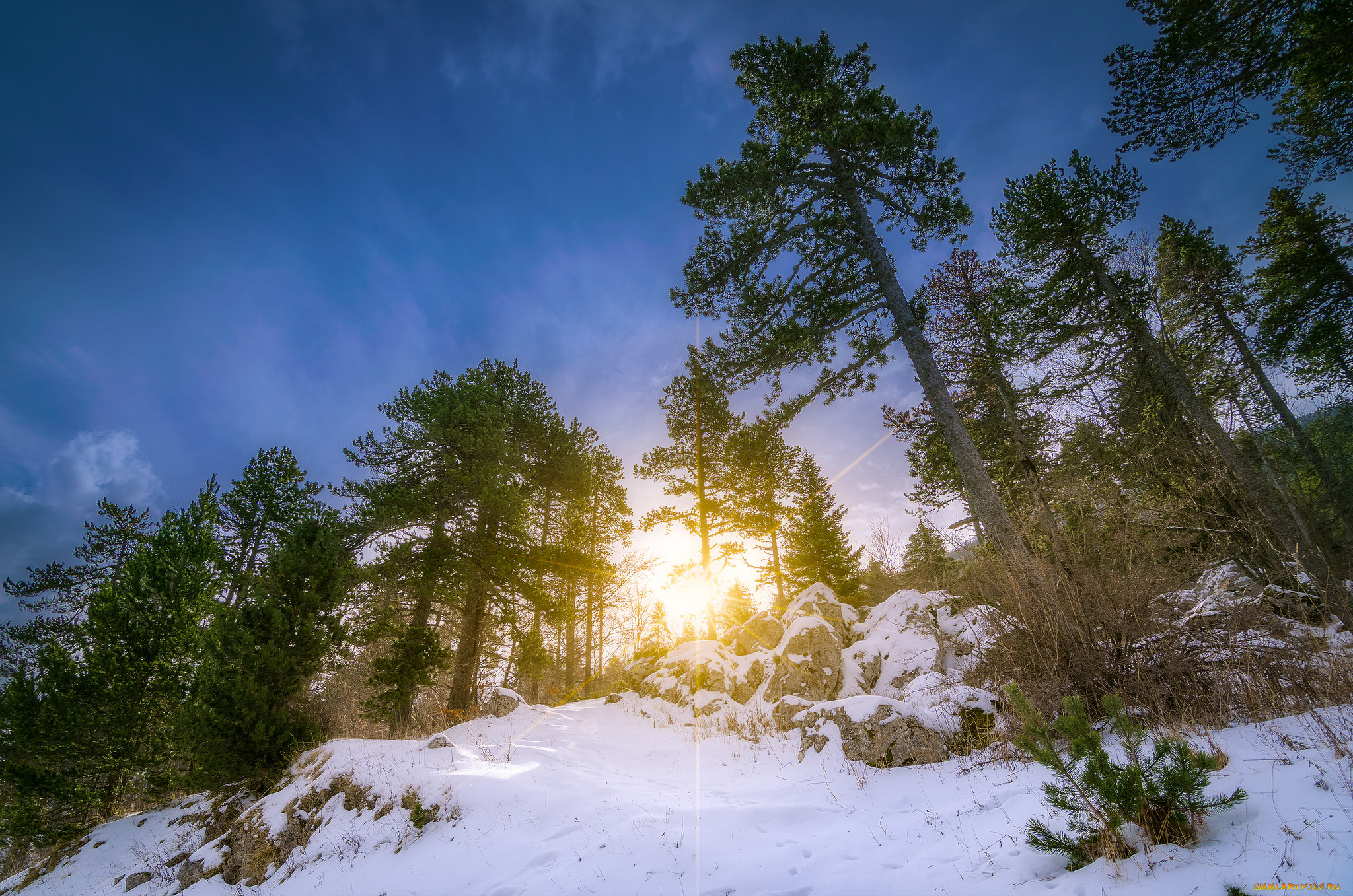 природа, зима, рассвет