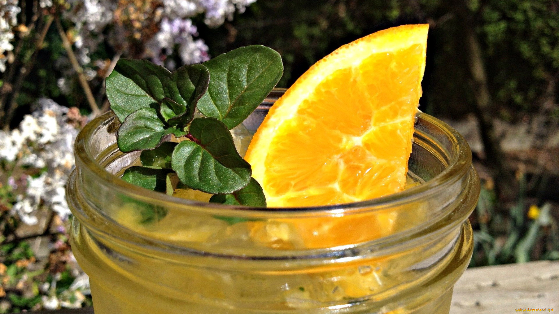 еда, напитки, , коктейль, апельсин, коктейль, бокал