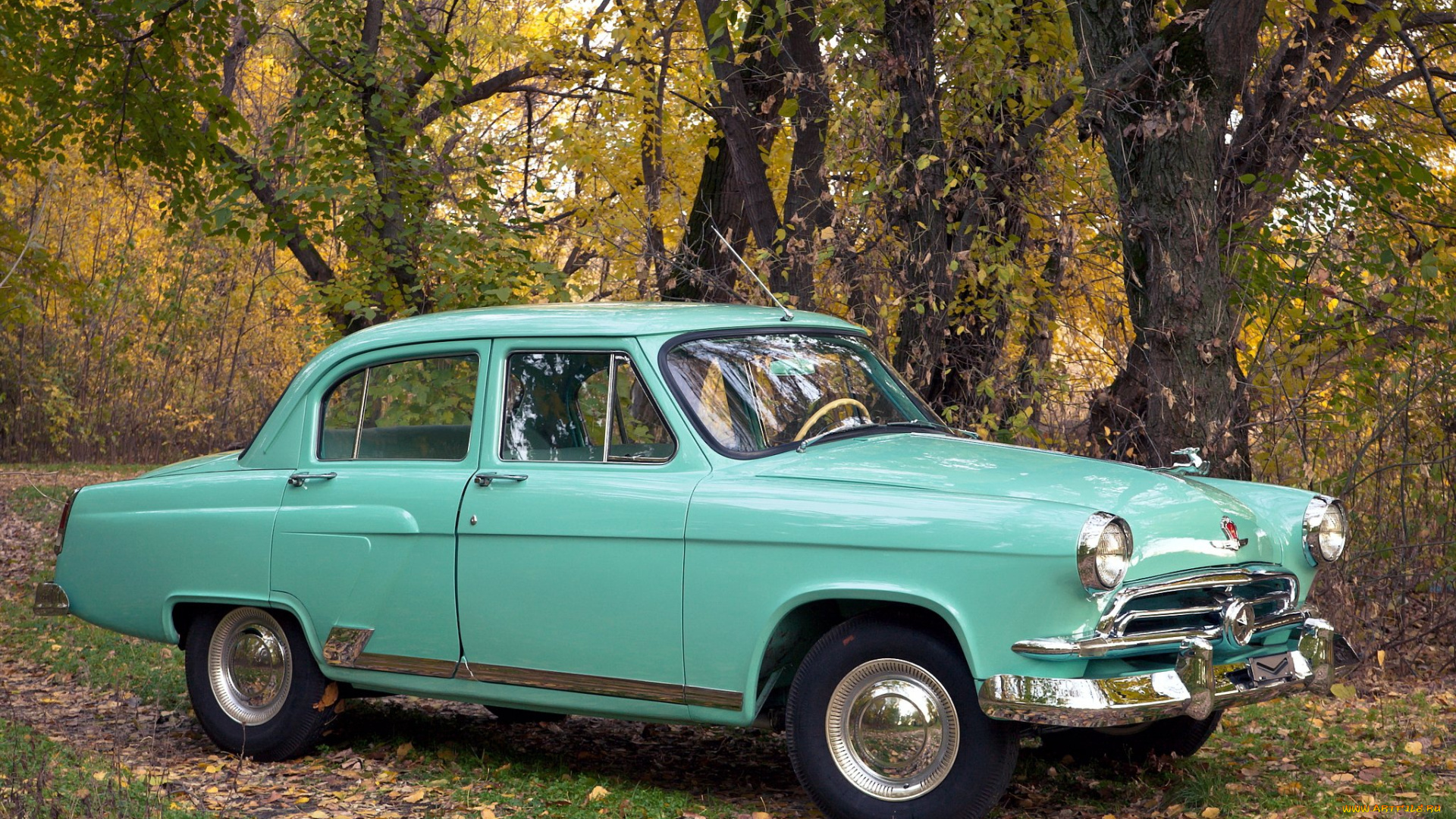 газ, м21, 1956, автомобили, газ, природа, ретро, м21, волга