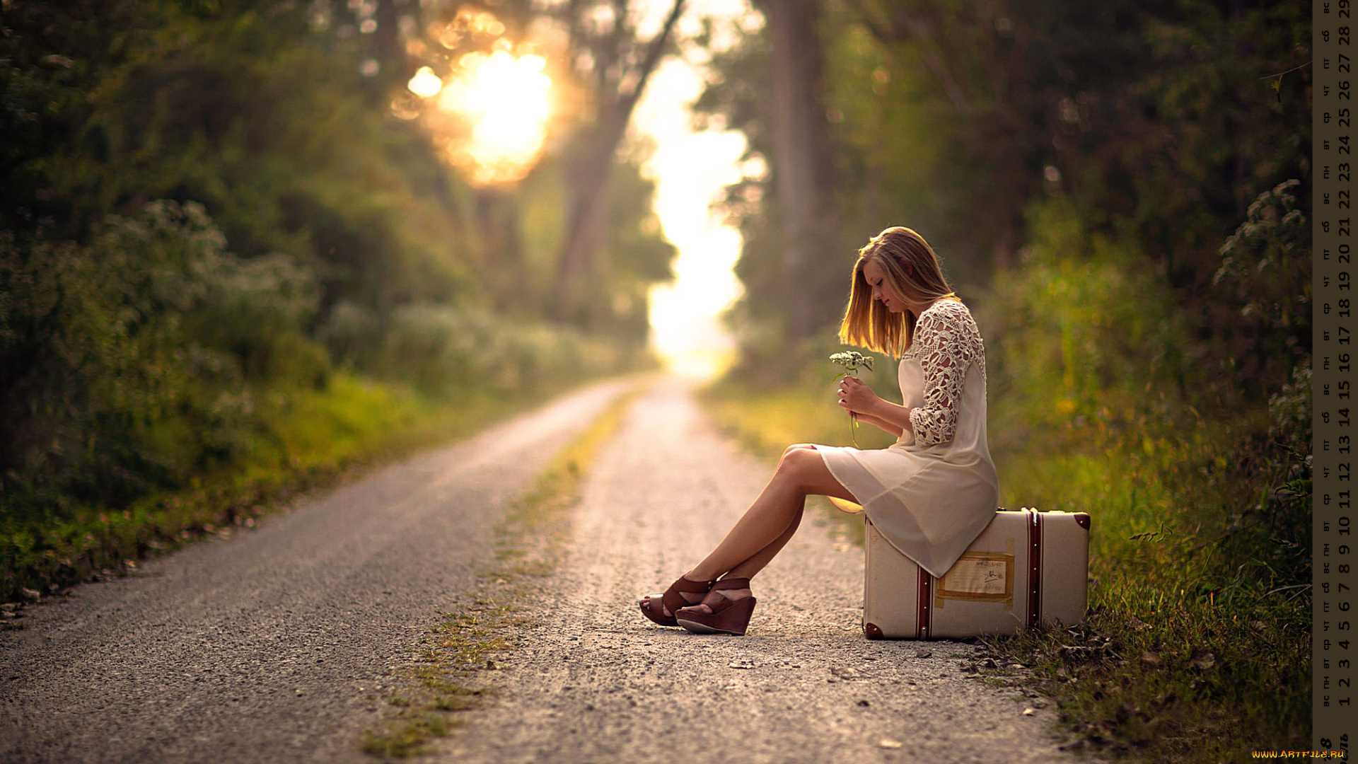 календари, девушки, дорога, растения, профиль, чемодан