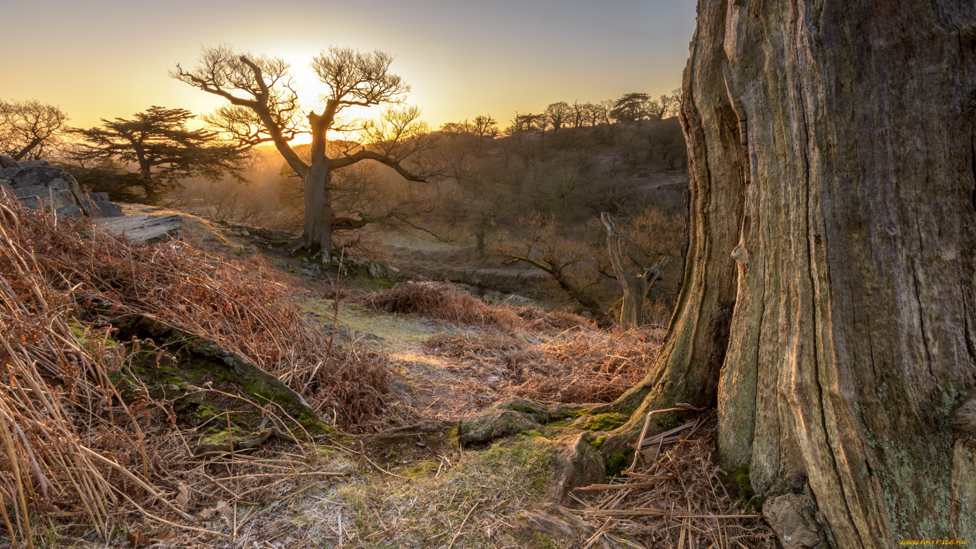 природа, пейзажи, простор