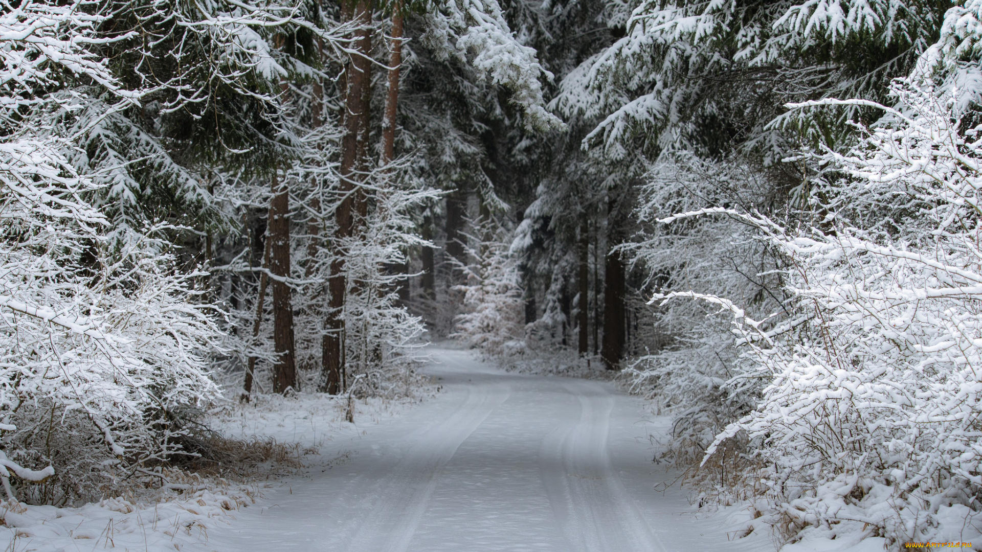 природа, зима, простор