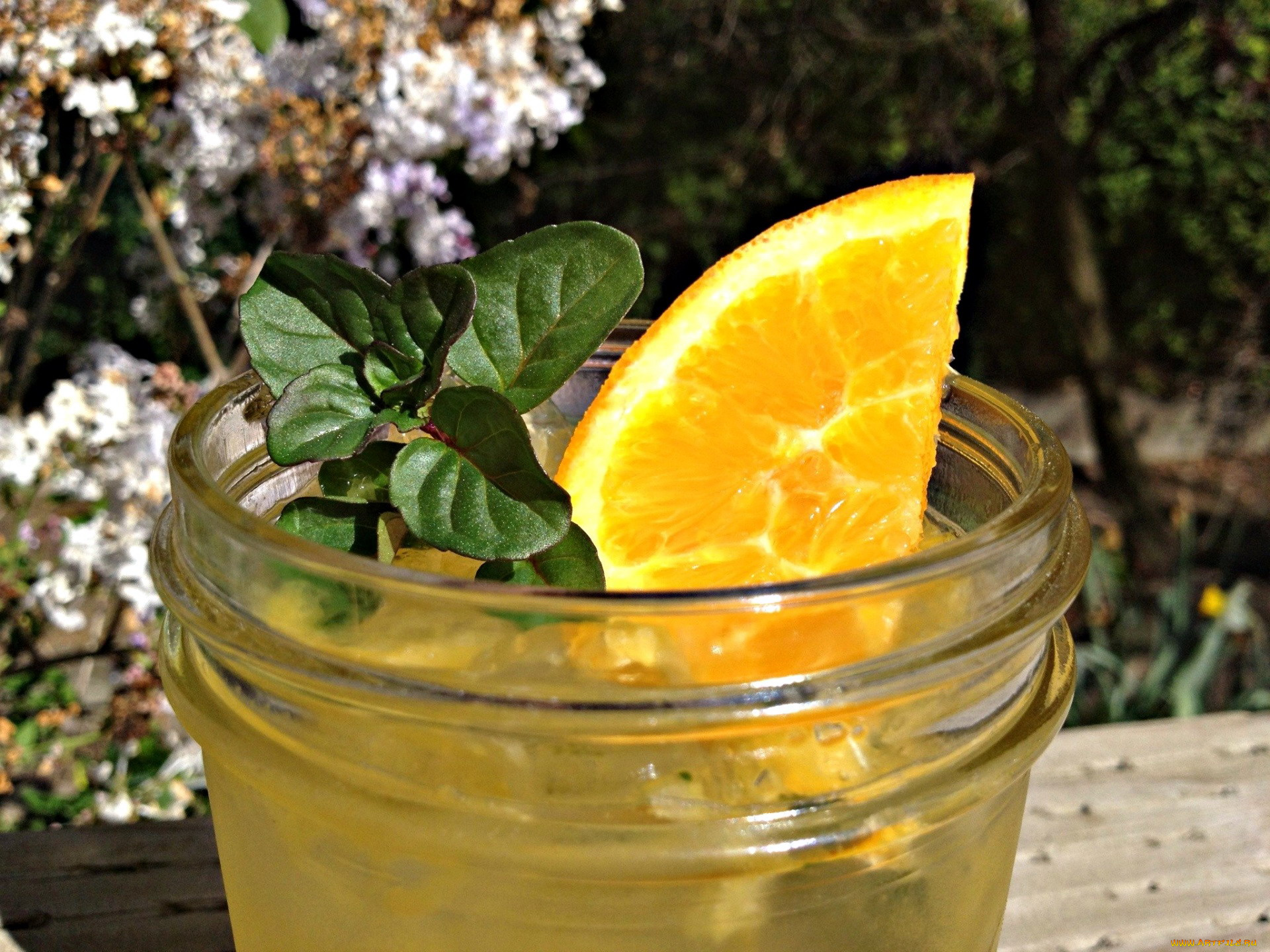 еда, напитки, , коктейль, апельсин, коктейль, бокал