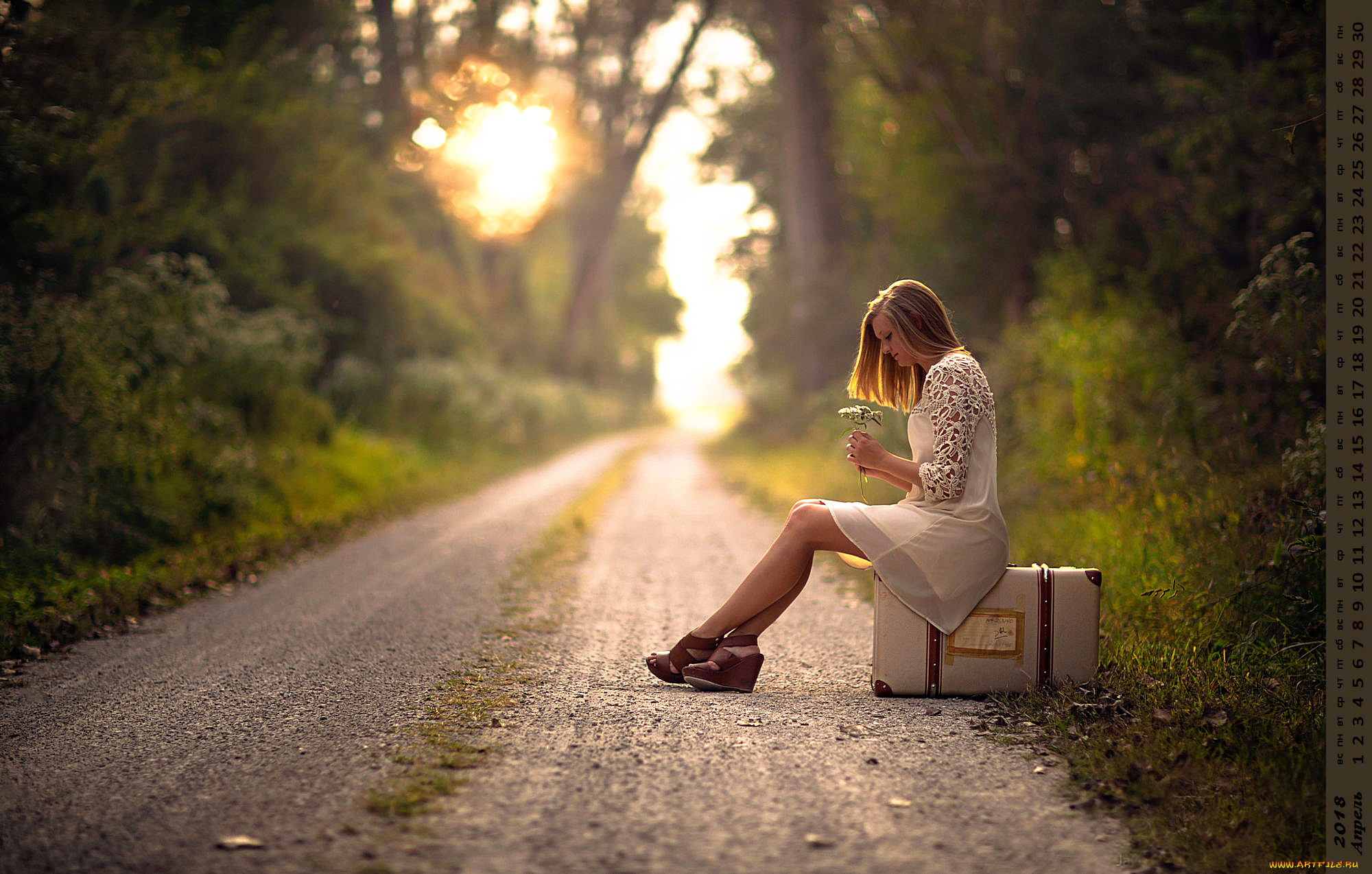 календари, девушки, дорога, растения, профиль, чемодан