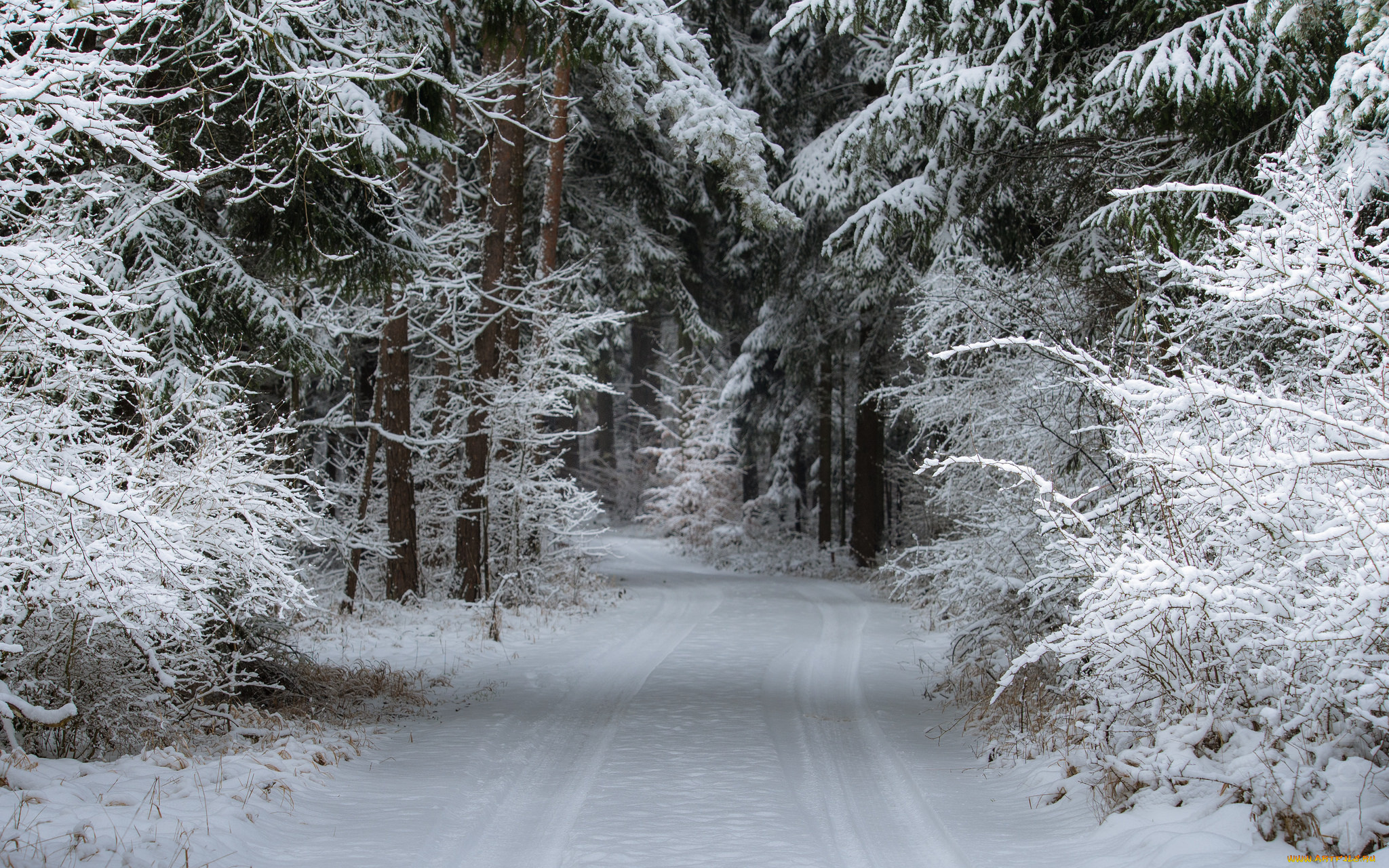 природа, зима, простор