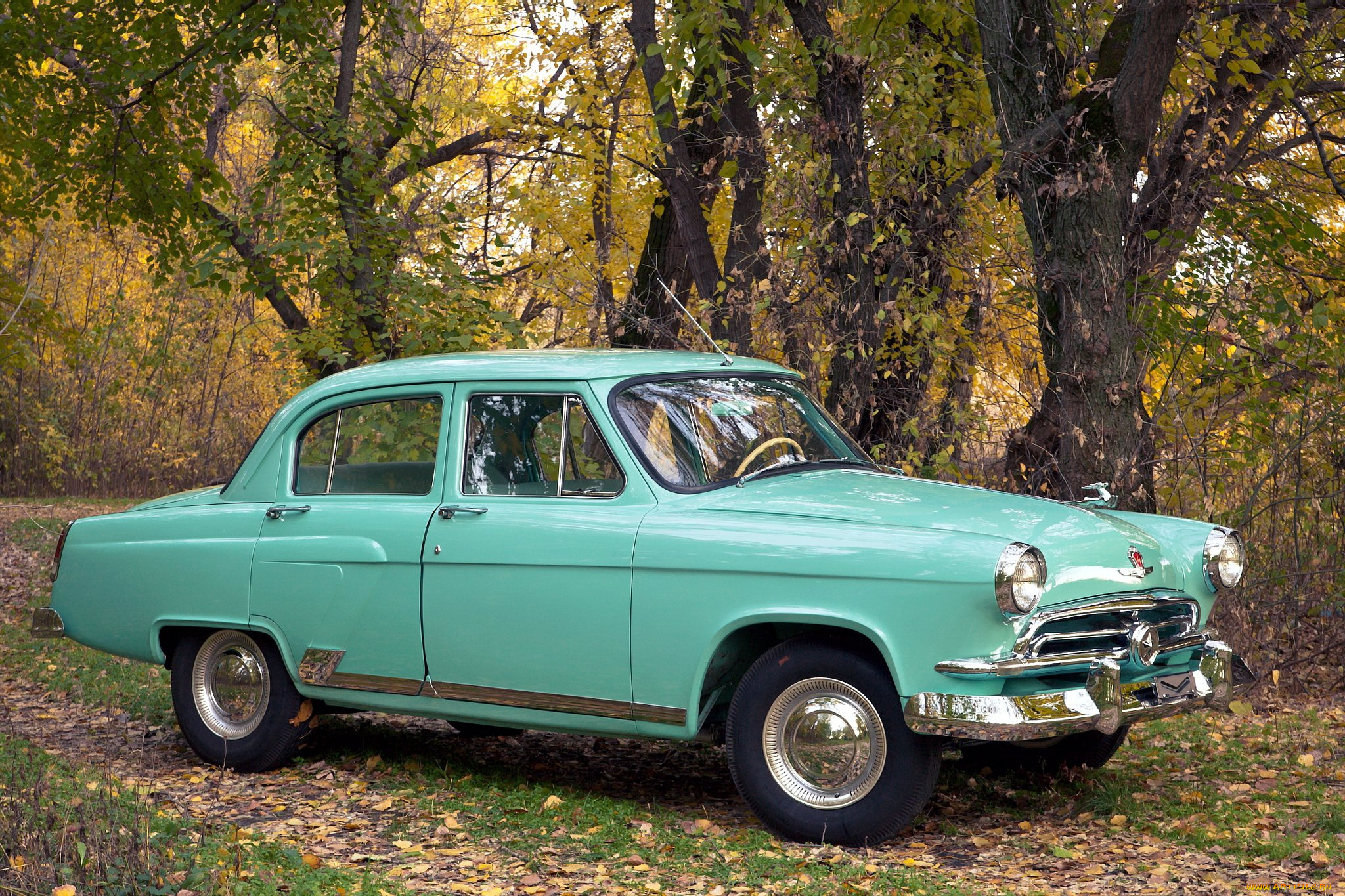 газ, м21, 1956, автомобили, газ, природа, ретро, м21, волга