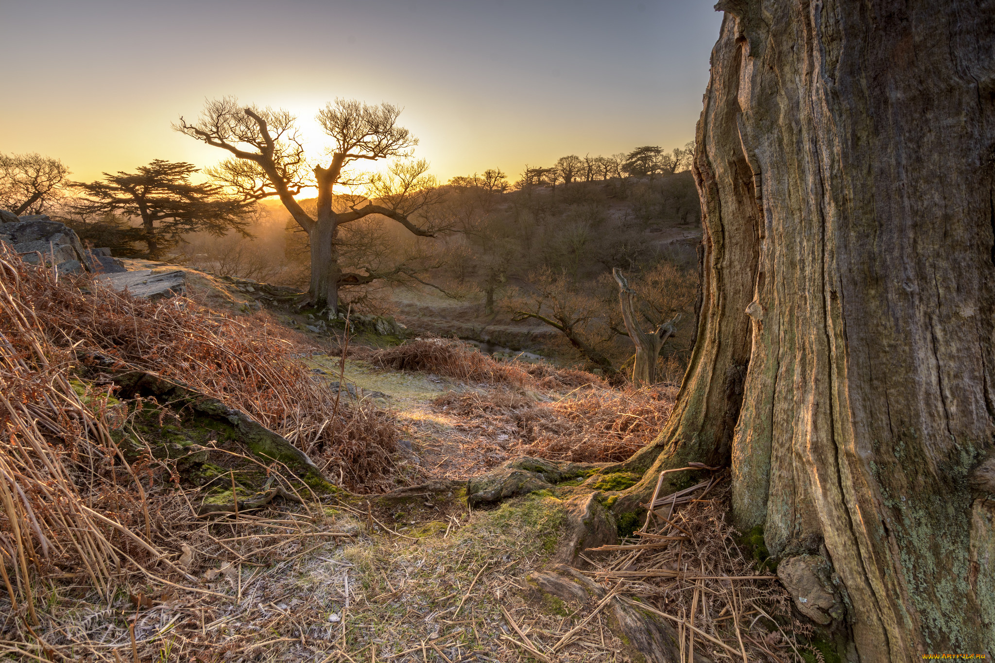 природа, пейзажи, простор