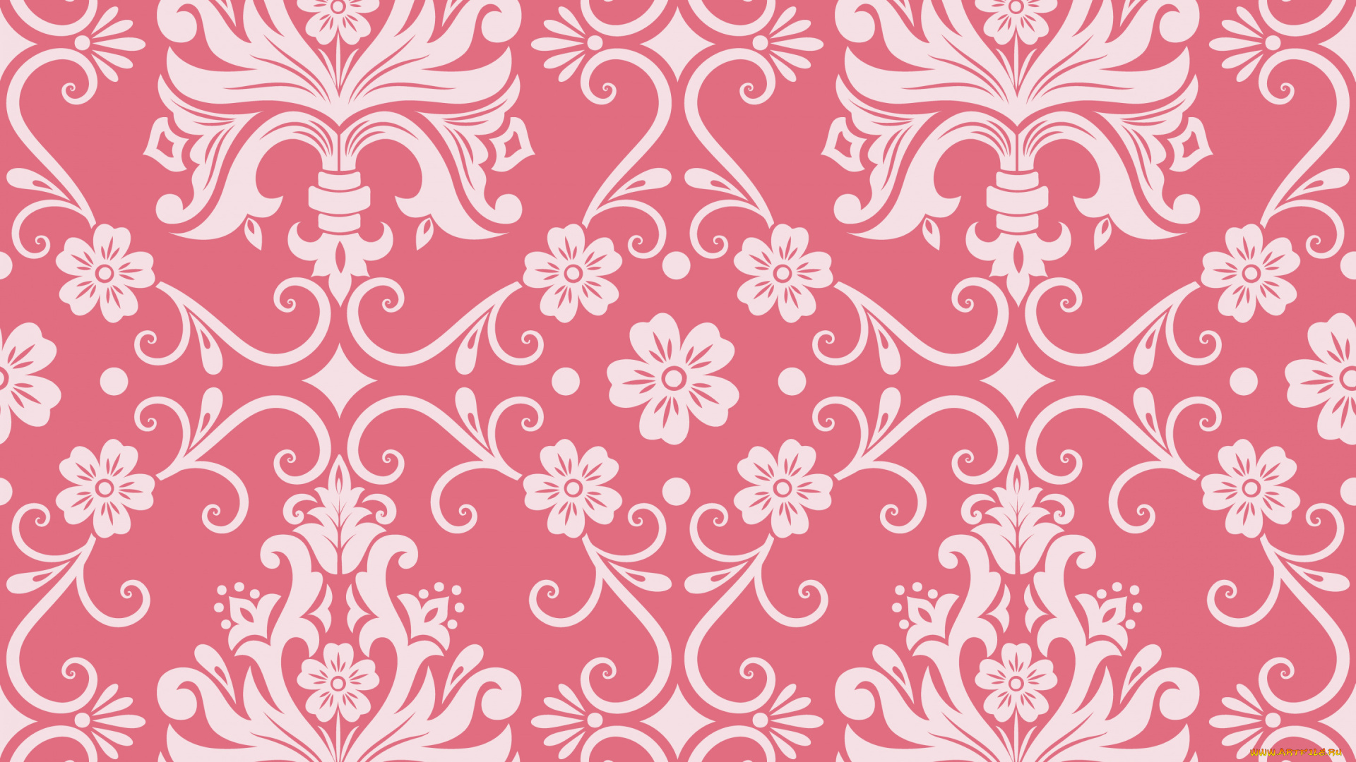 векторная, графика, цветы, , flowers, узор, орнамент, розовый, фон, цветы