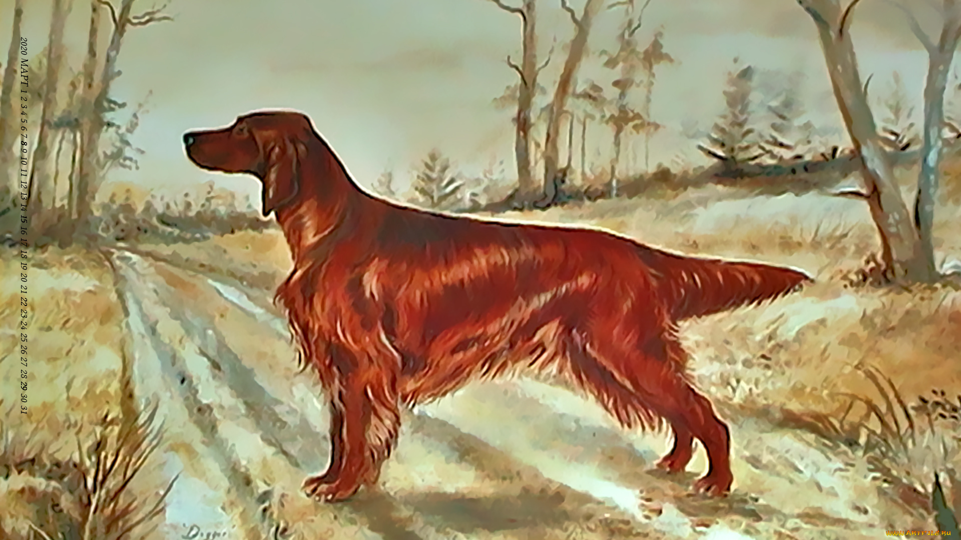 календари, рисованные, , векторная, графика, собака, гончая, дорога, природа, растение, calendar, 2020