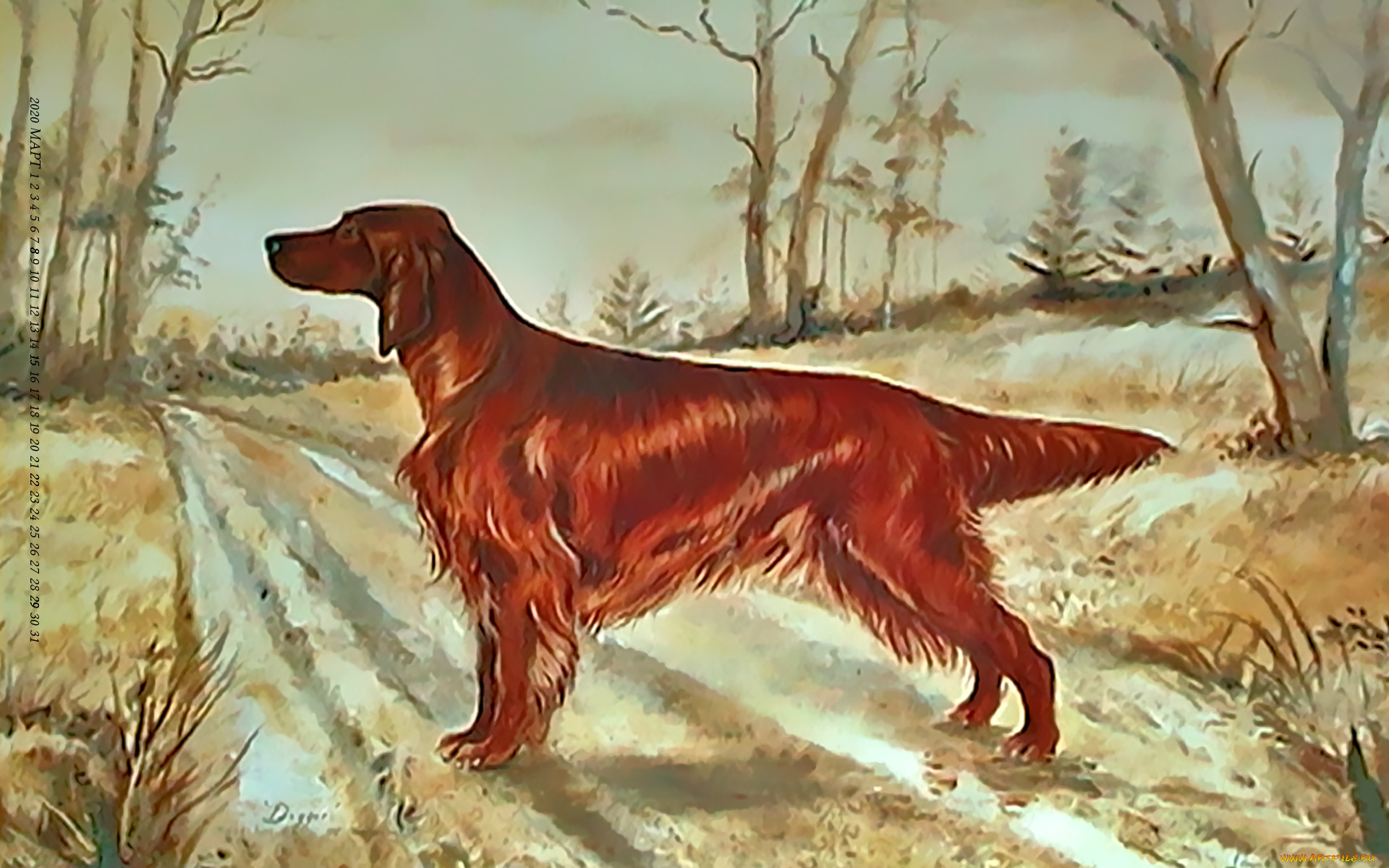 календари, рисованные, , векторная, графика, собака, гончая, дорога, природа, растение, calendar, 2020