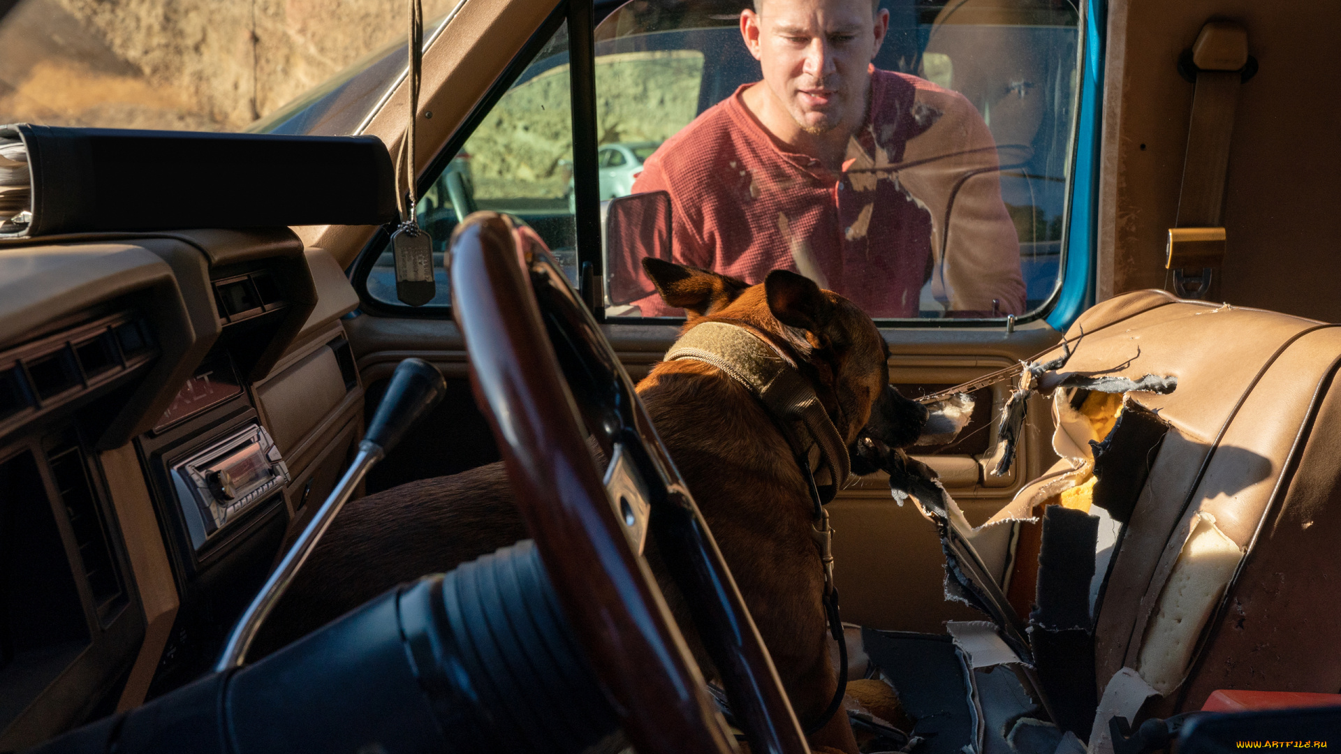 dog, ||, 2022, кино, фильмы, dog, author, oreskis, channing, tatum, фильм, кадры, лулу, и, бриггс, актер, овчарка, комедия, ченнинг, татум