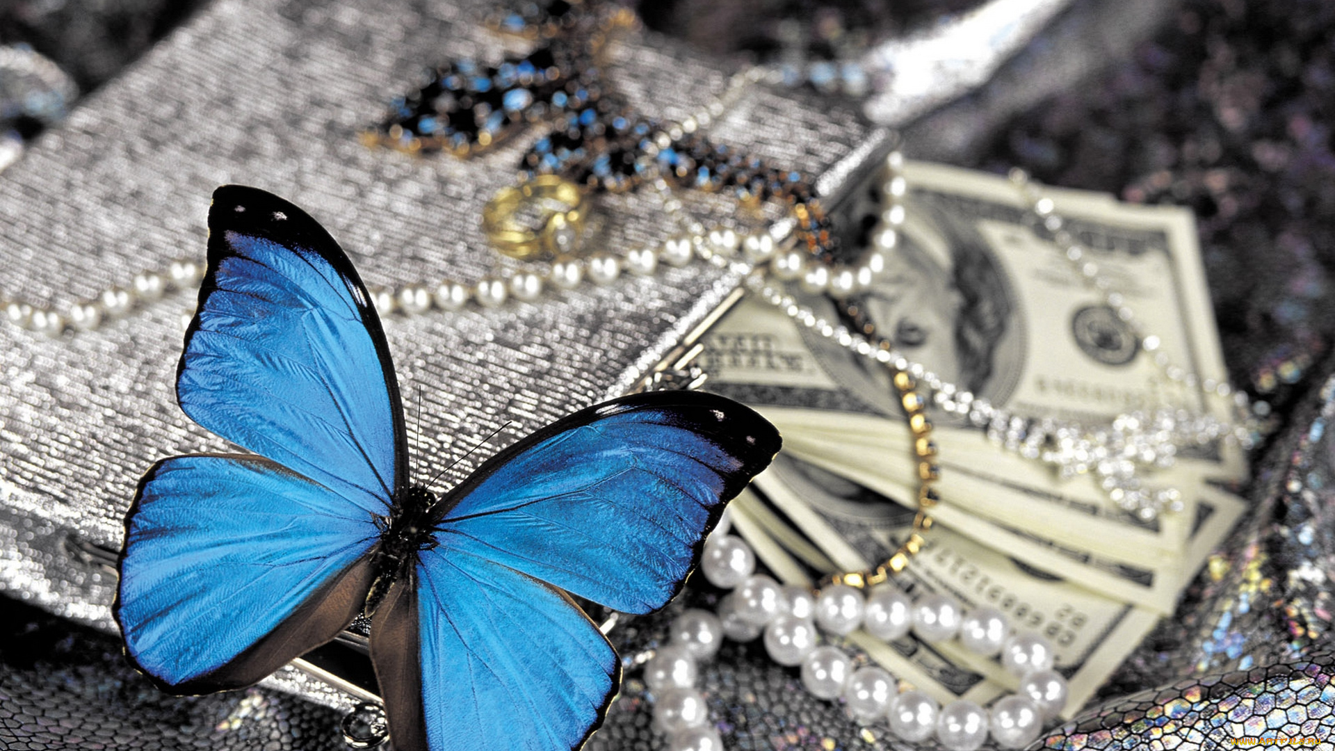 разное, компьютерный, дизайн, бабочка, бусы, деньги