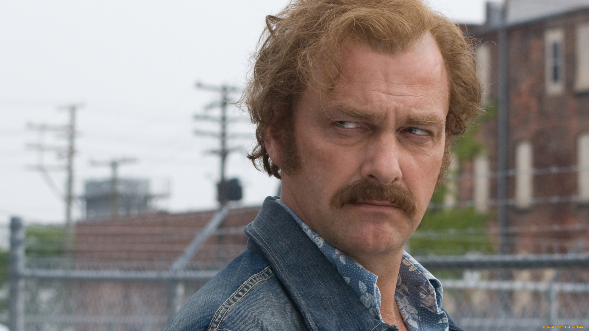 kill, the, irishman, кино, фильмы, kill, the, irishman