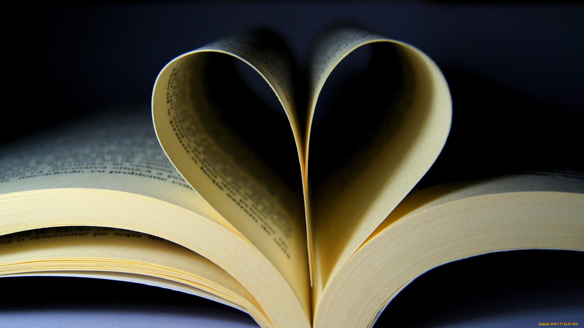 разное, канцелярия, , книги, книга, страницы, сердечко