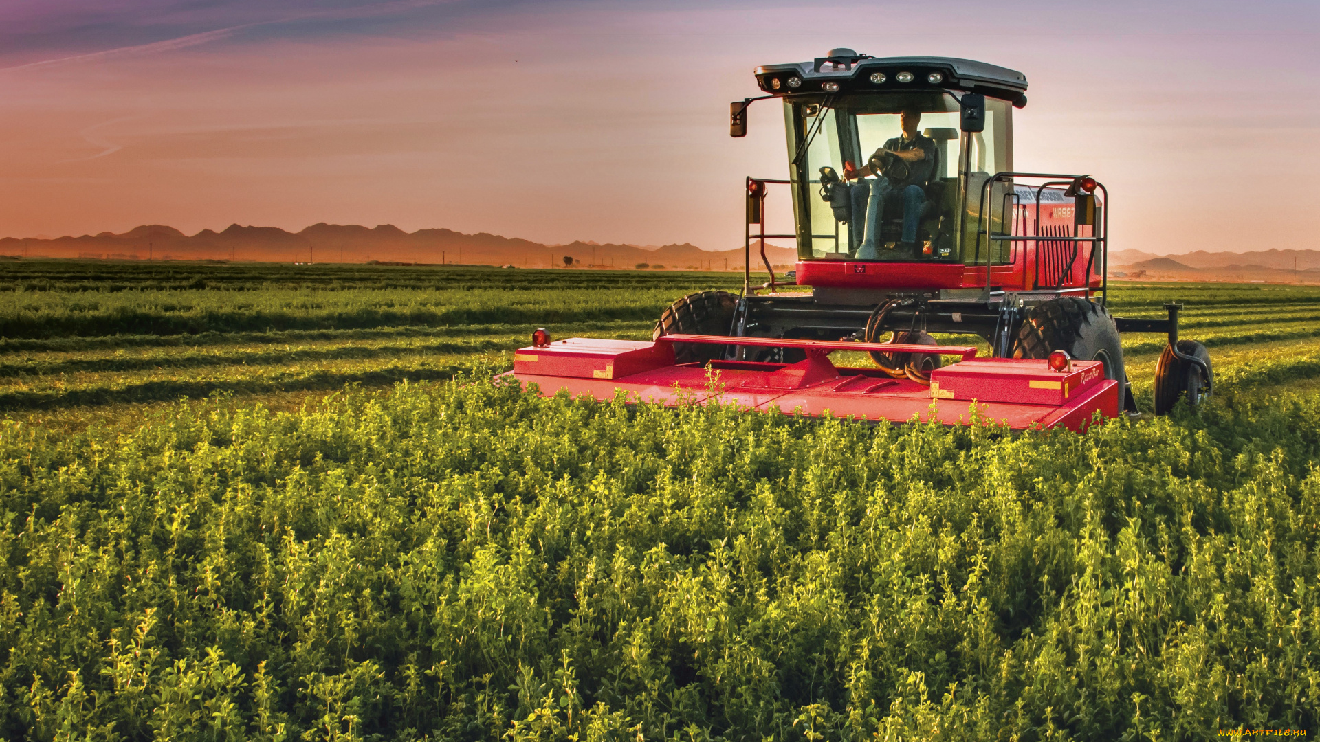 техника, комбайны, massey, ferguson