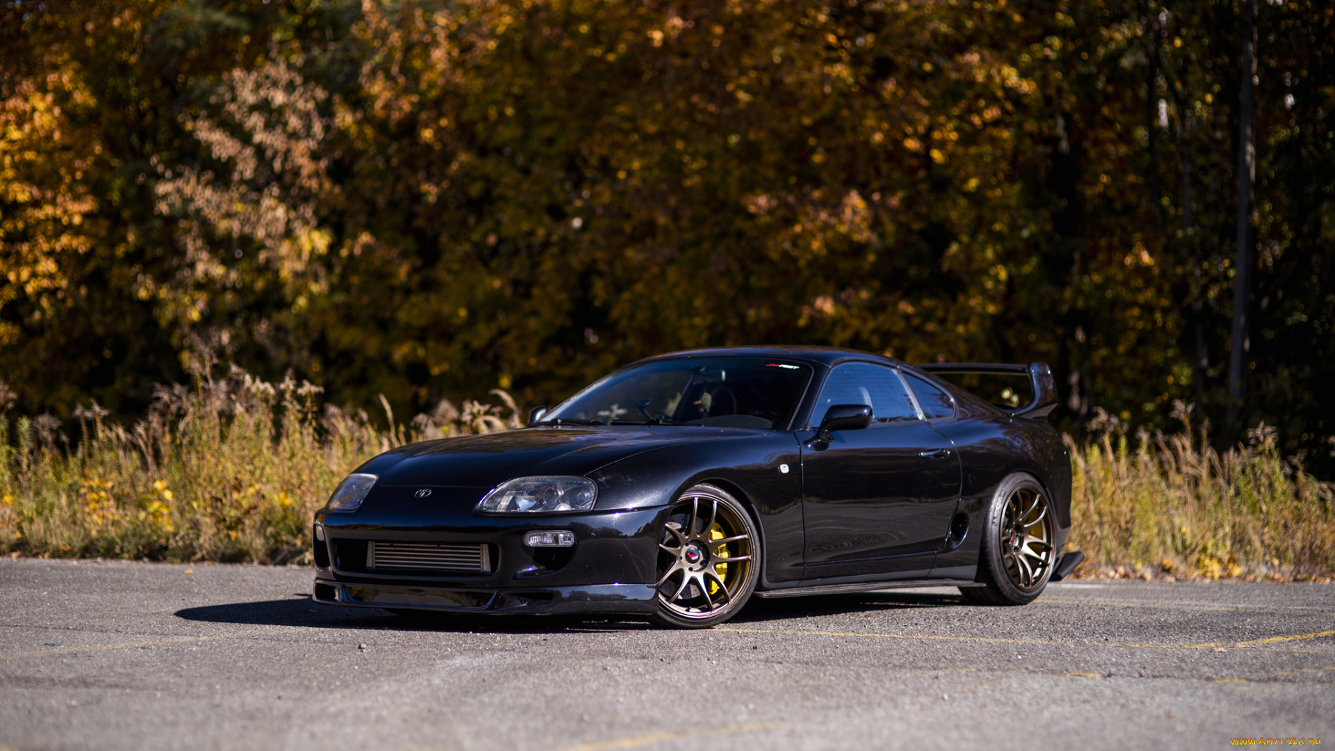 toyota, supra, a80, автомобили, toyota, supra, a80, black, forest, autumn