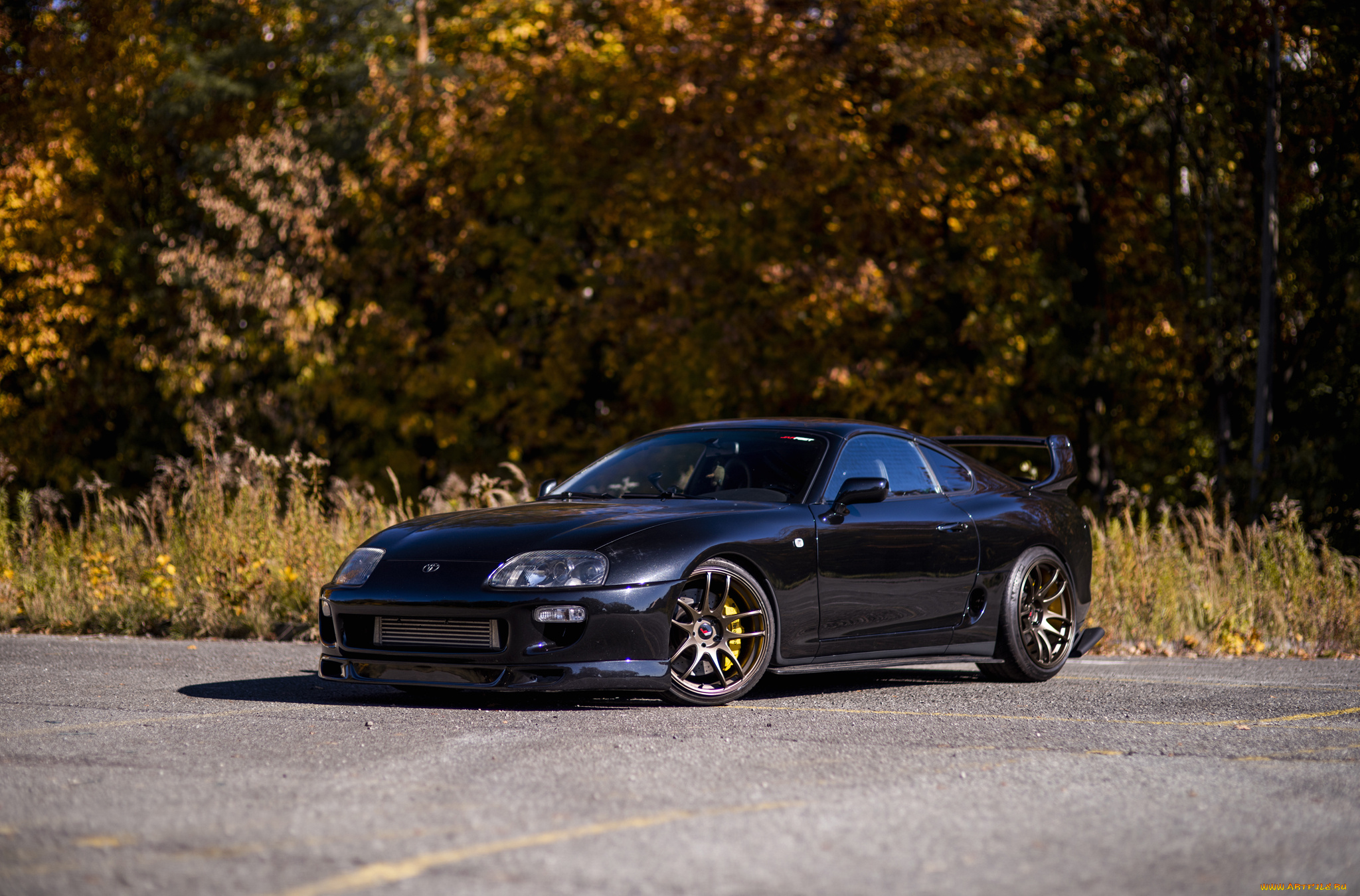toyota, supra, a80, автомобили, toyota, supra, a80, black, forest, autumn
