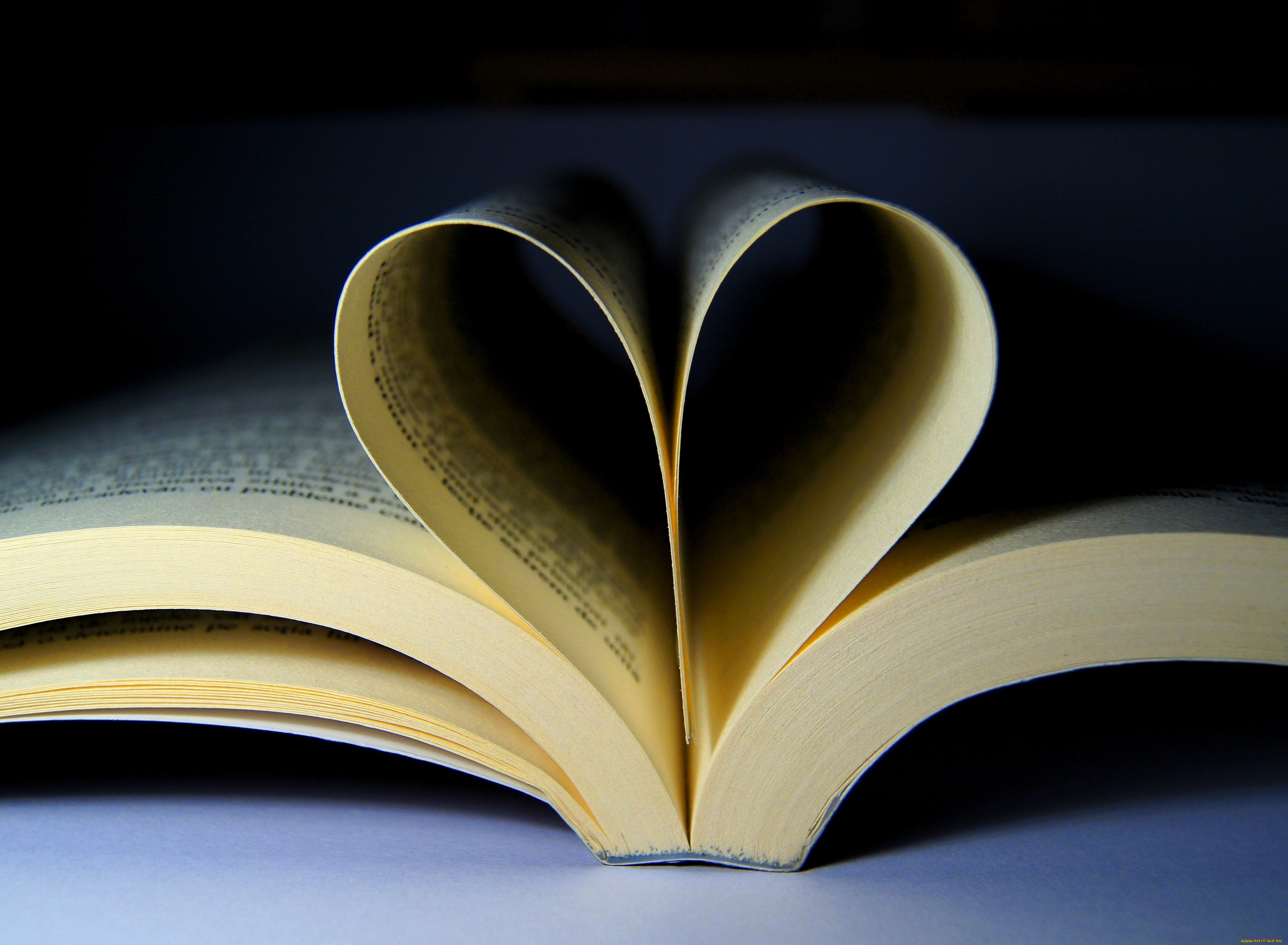 разное, канцелярия, , книги, книга, страницы, сердечко