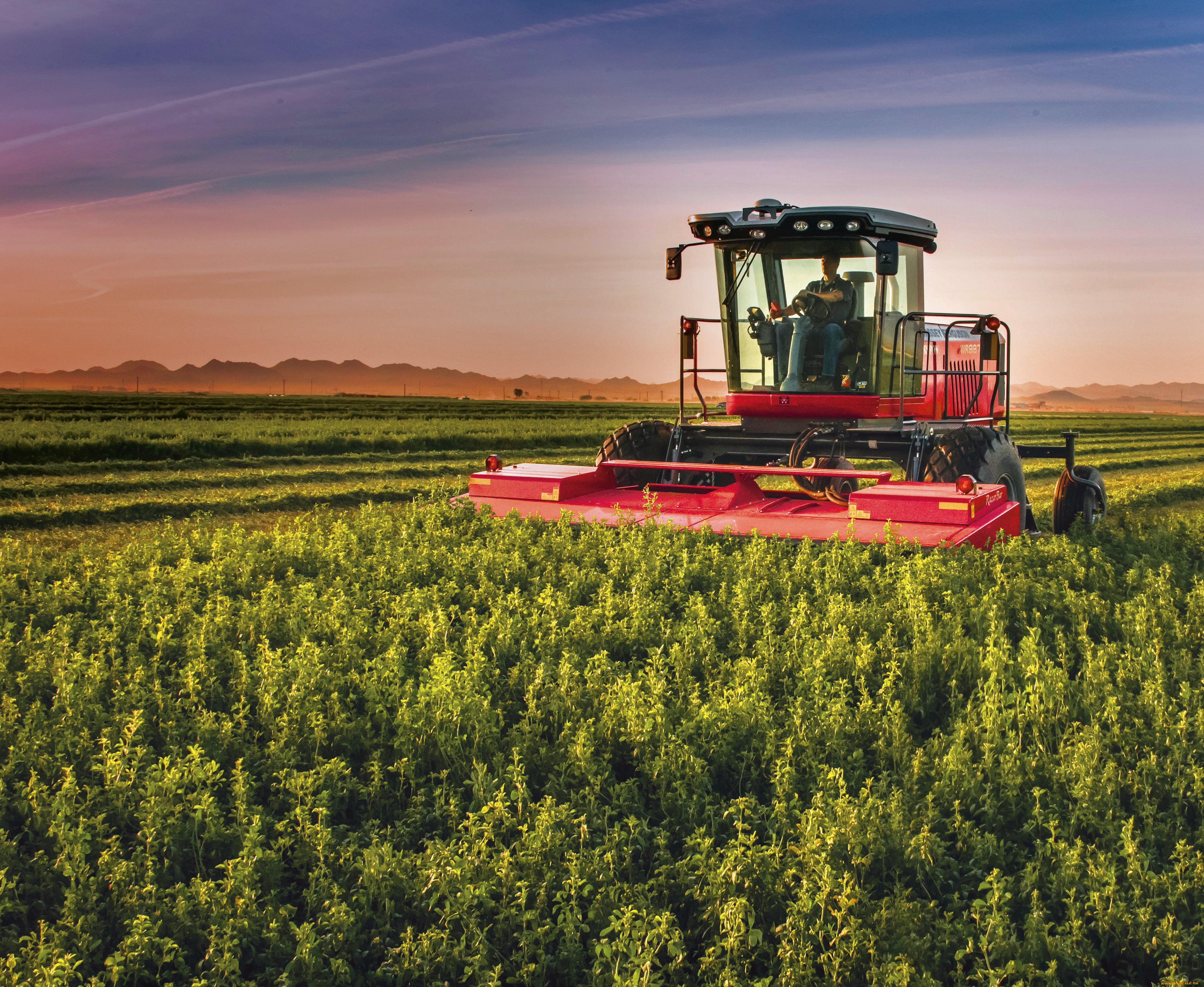 техника, комбайны, massey, ferguson