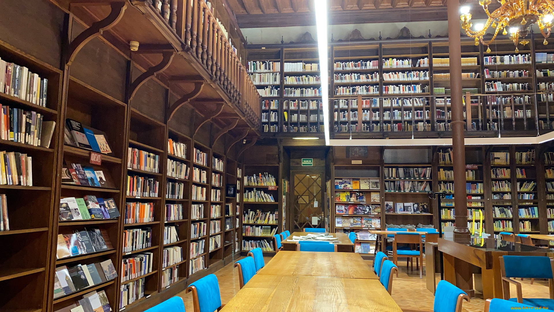 интерьер, кабинет, , библиотека, , офис, полки, книги