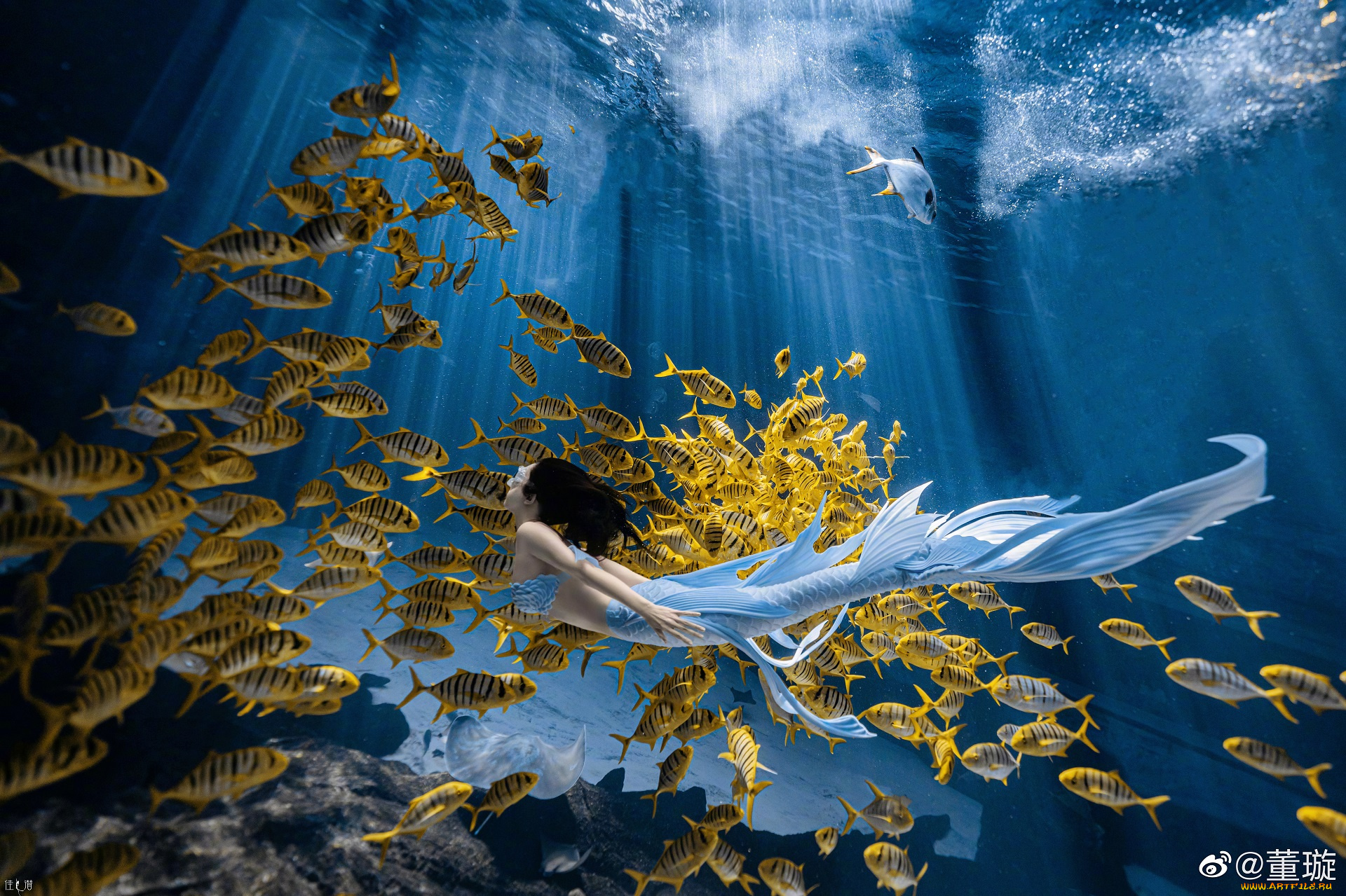 девушки, -, креатив, , косплей, русалка