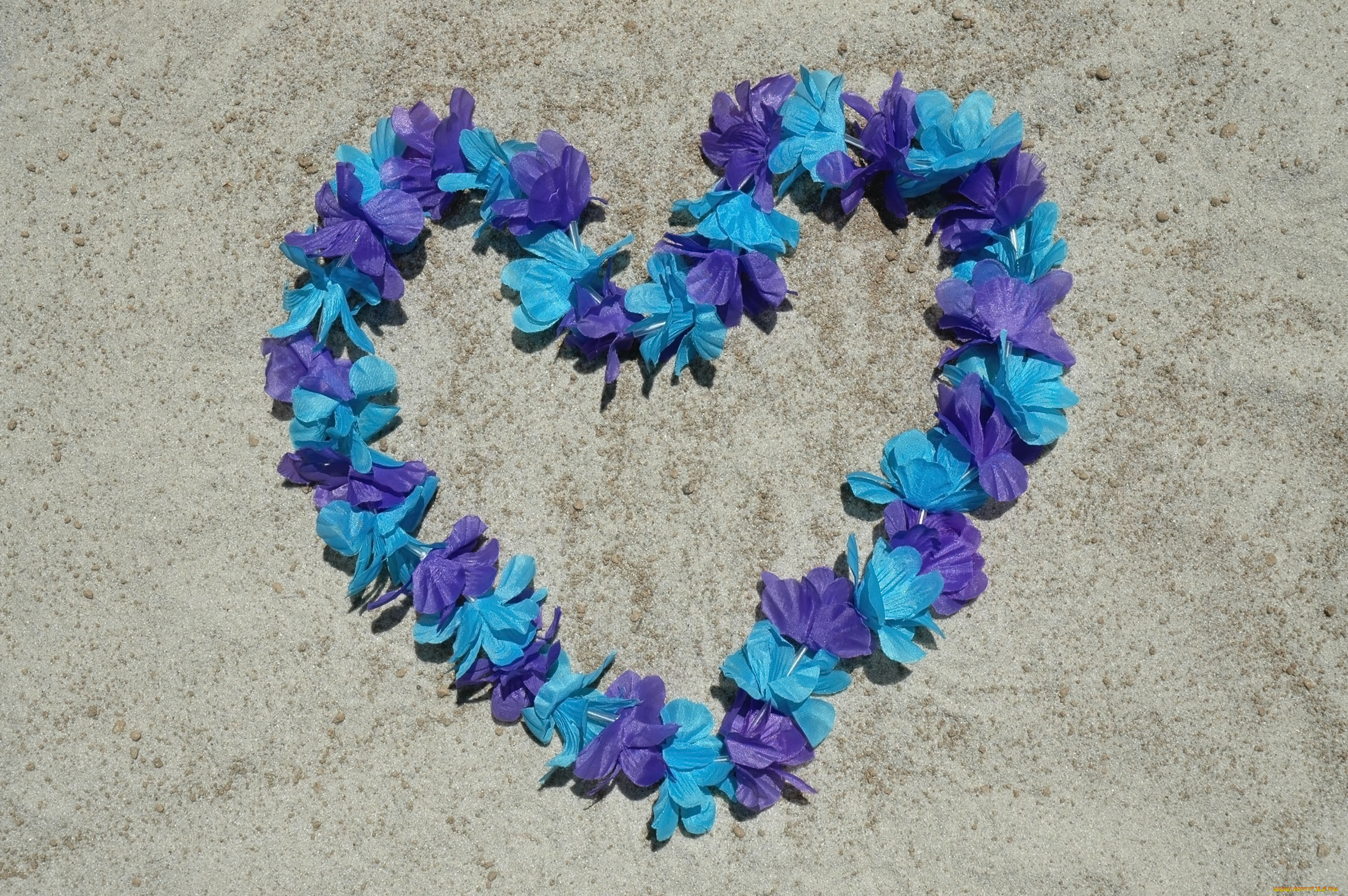 праздничные, день, святого, валентина, , сердечки, , любовь, сердечко, цветы