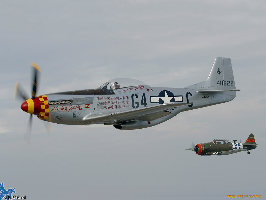 авиация, лёгкие, одномоторные, самолёты