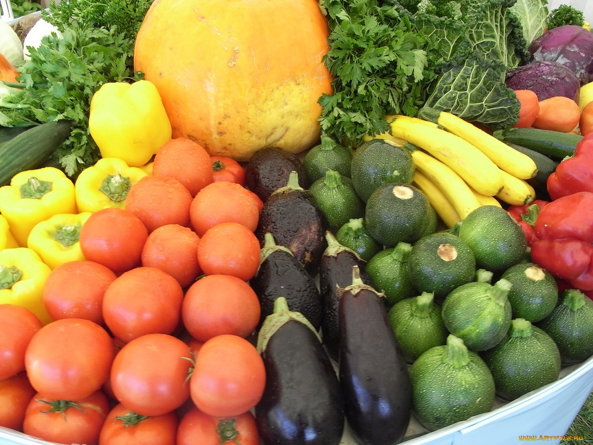 еда, овощи