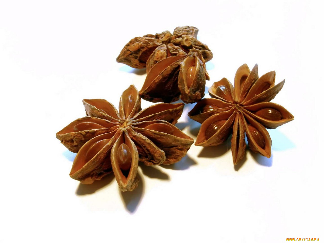 еда, крупы, зерно, специи, семечки