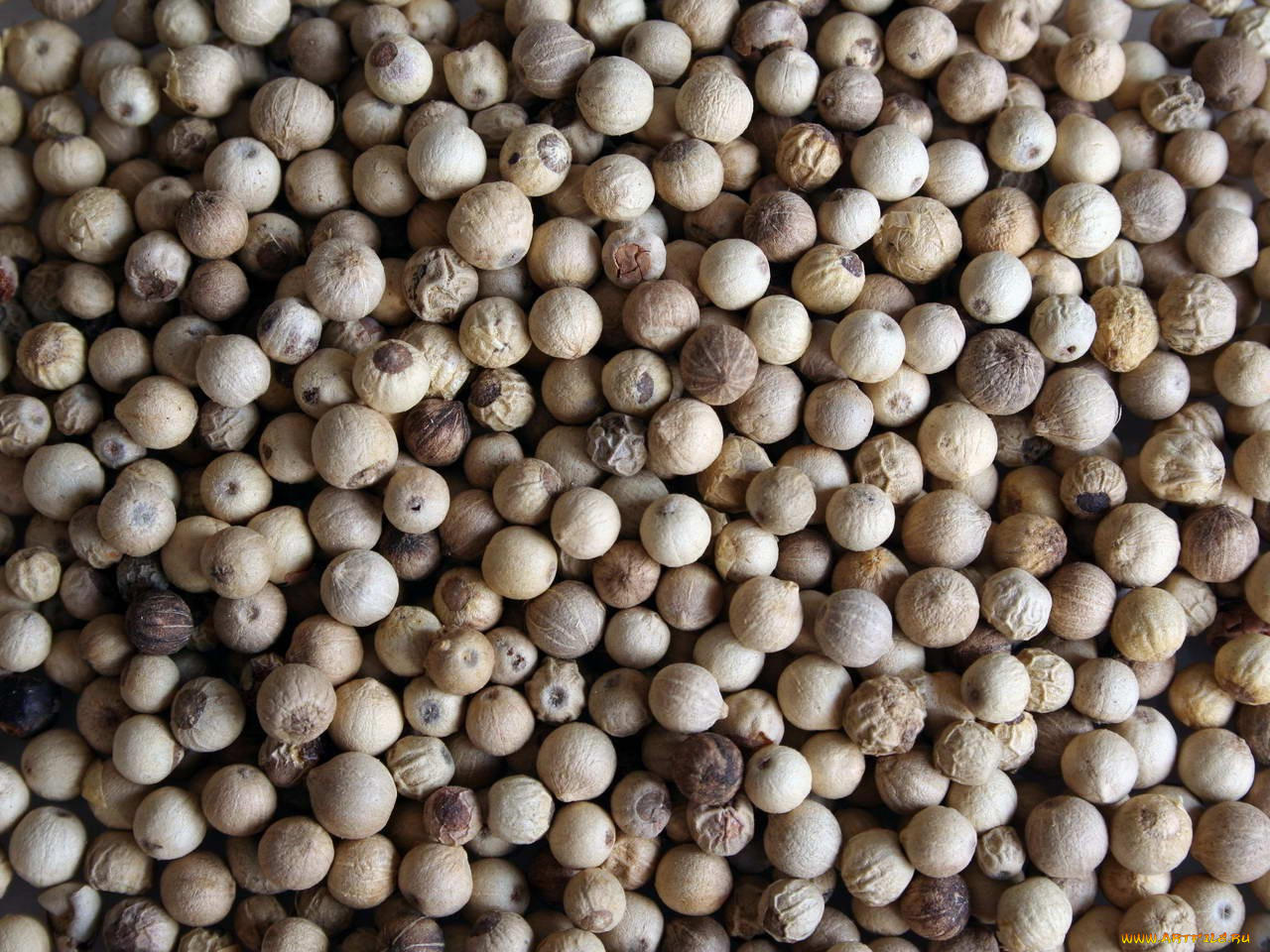 еда, крупы, зерно, специи, семечки