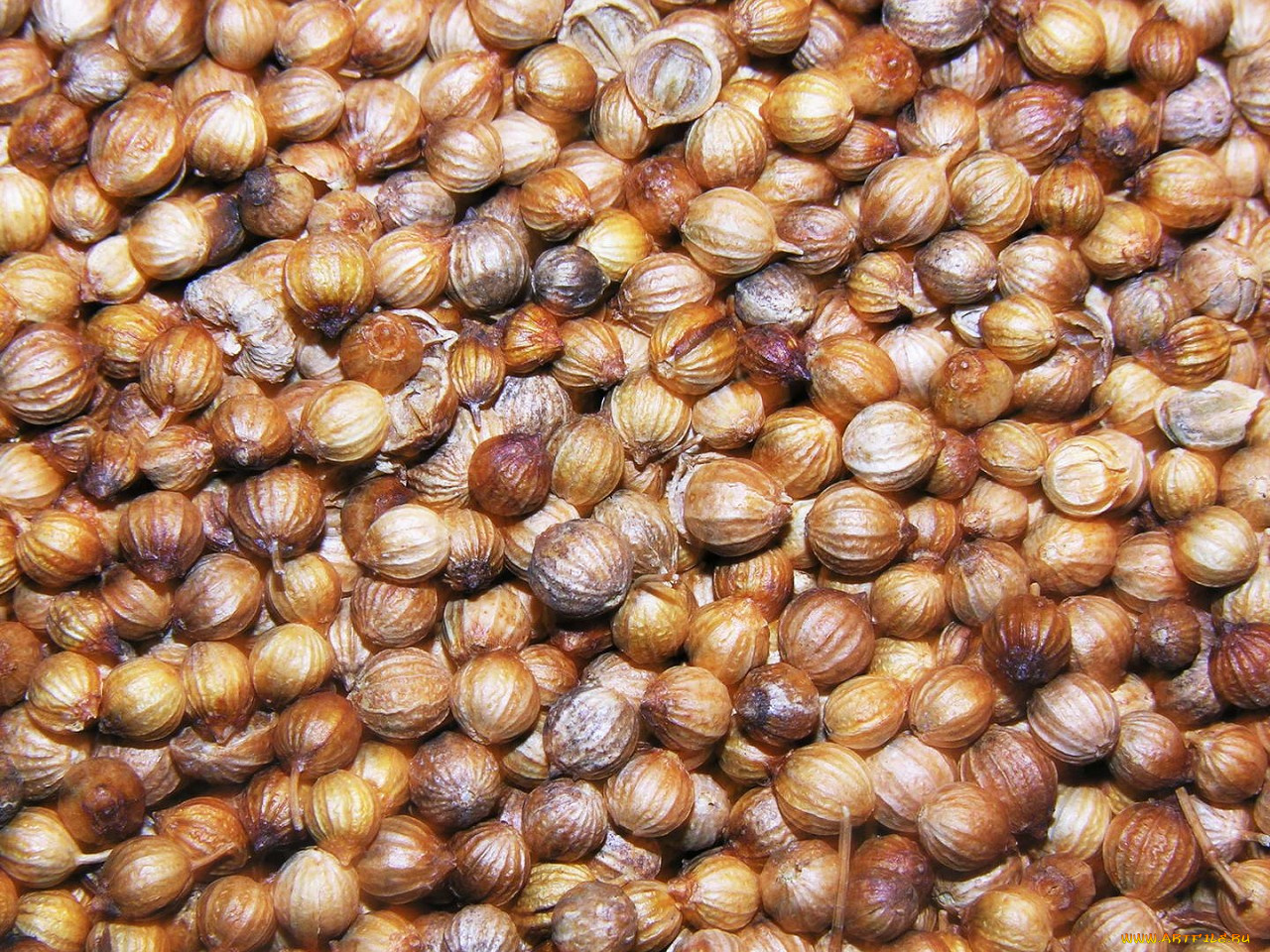 еда, крупы, зерно, специи, семечки