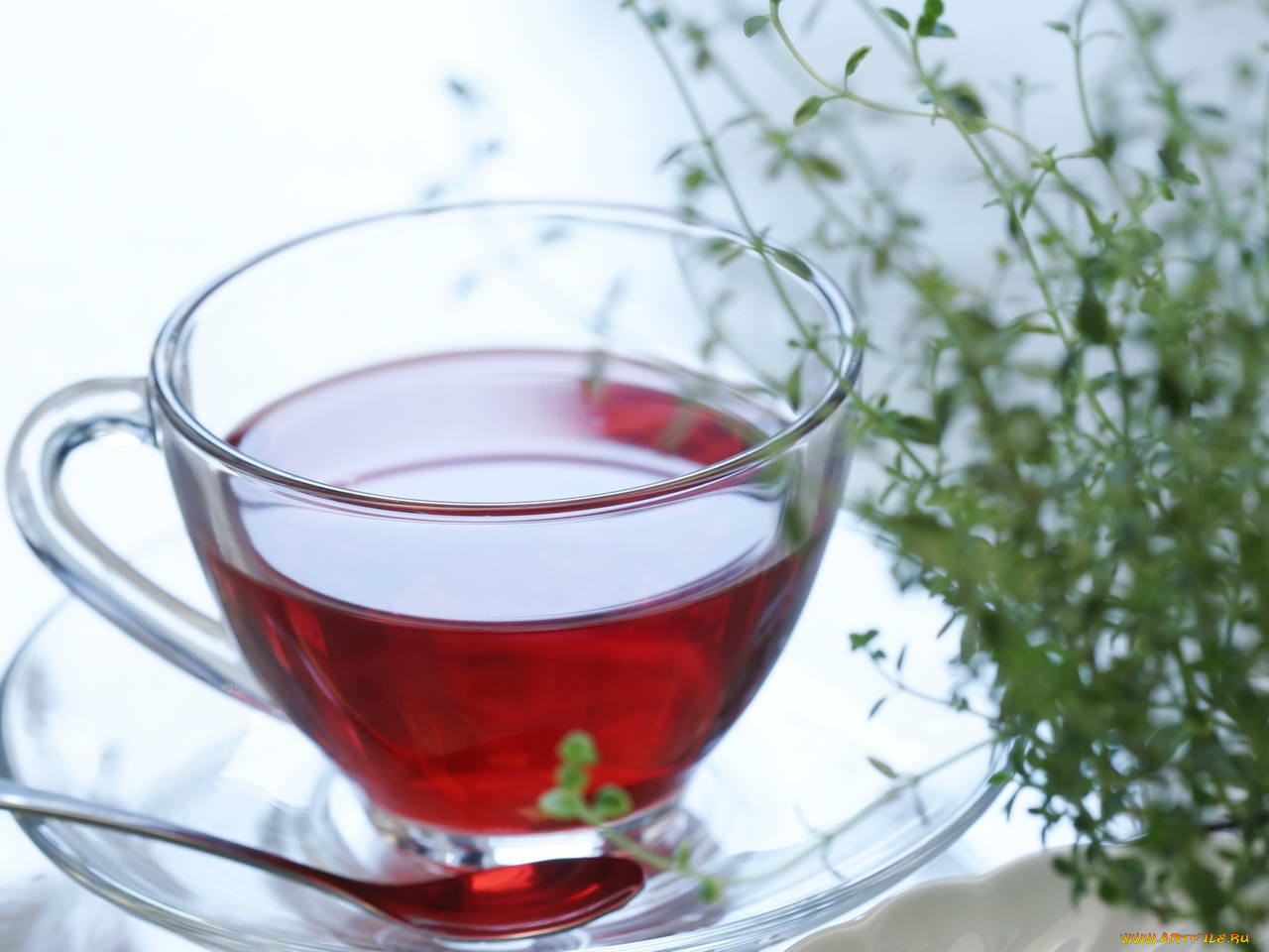 еда, напитки, Чай