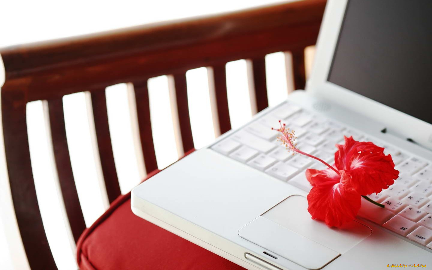 разное, другое