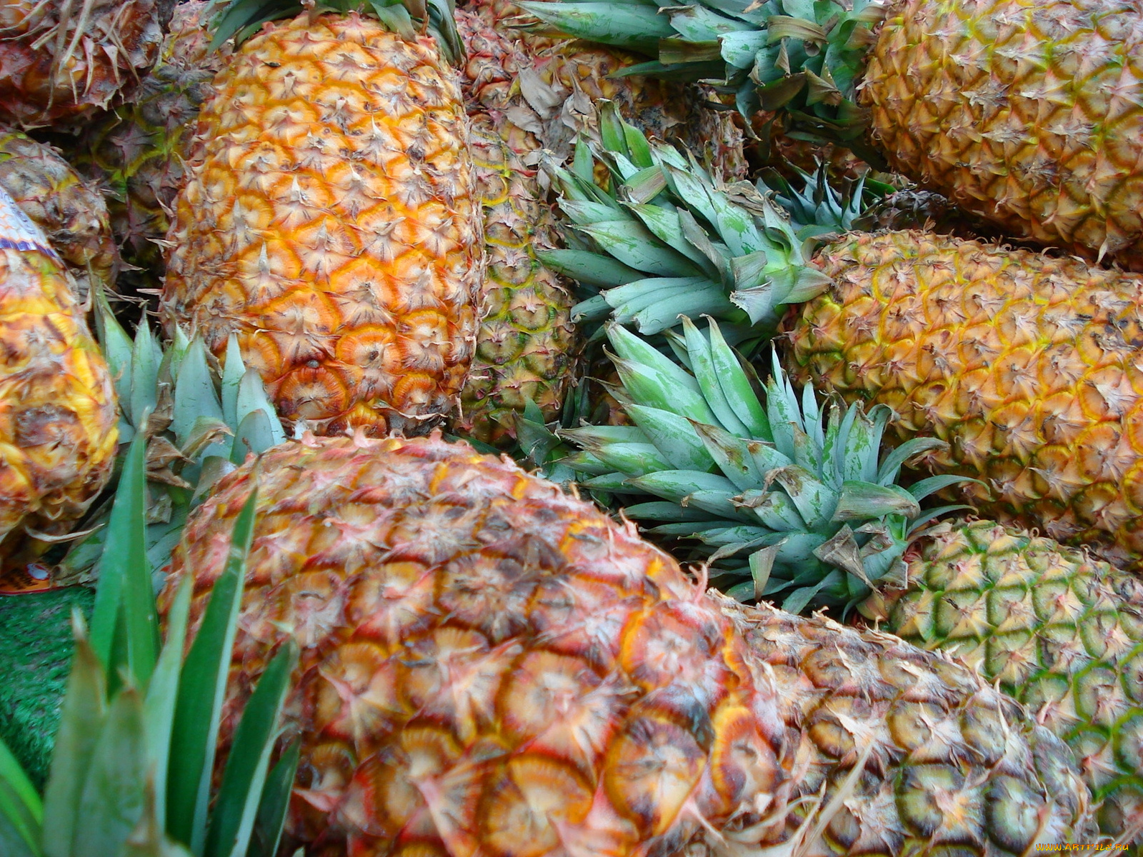 еда, ананас