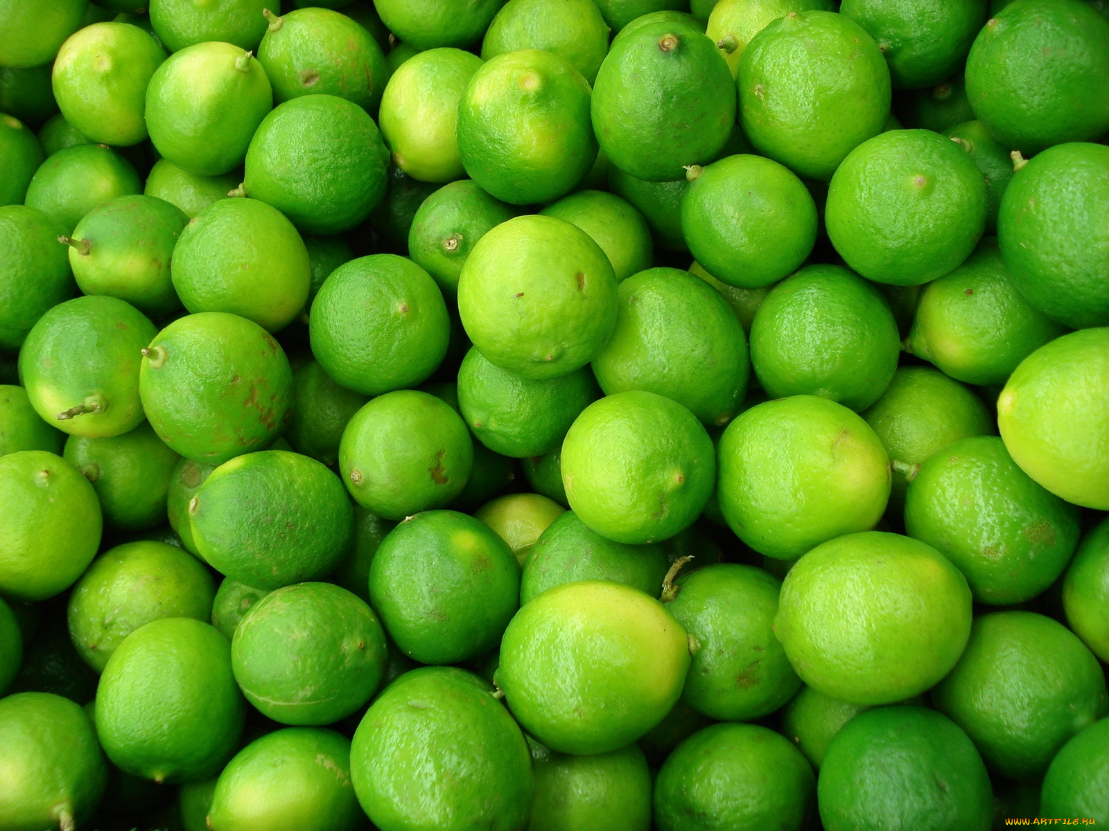 еда, цитрусы